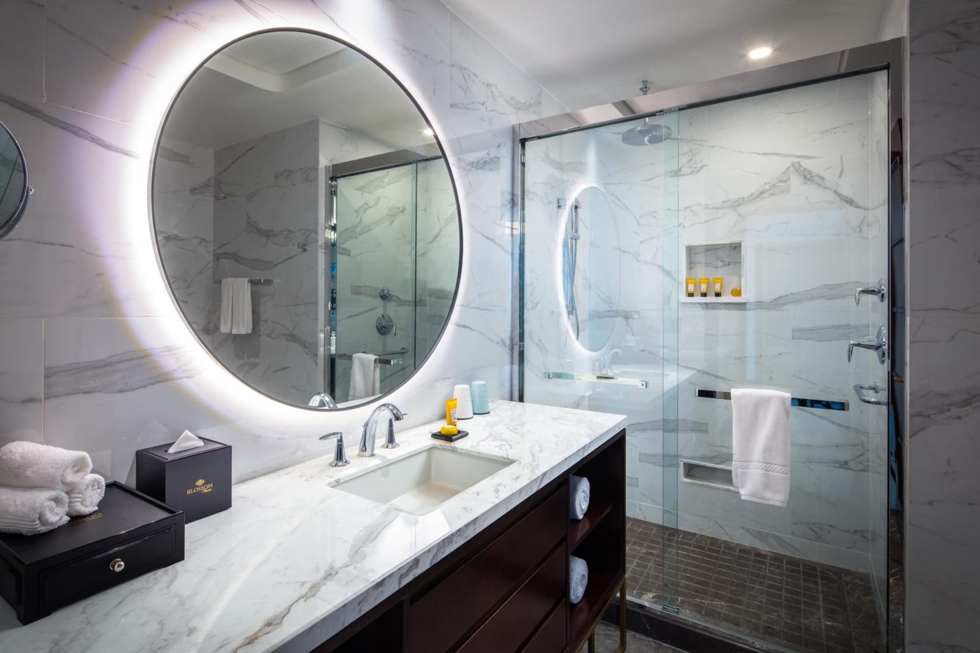 Blossom Hotel Houston, Curio Collection by Hilton gallery photo in Houston, TX — image 40