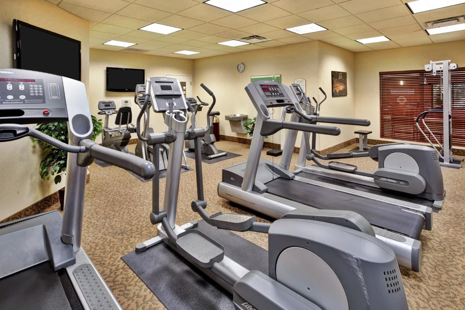 Holiday Inn Hotel & Suites Ann Arbor University of Michigan Area by IHG gallery photo in Ann Arbor, MI — image 78