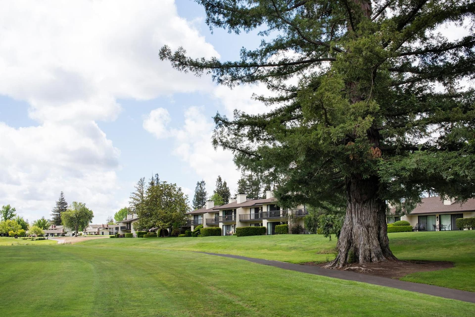 Silverado Resort gallery photo in Napa, CA — image 43