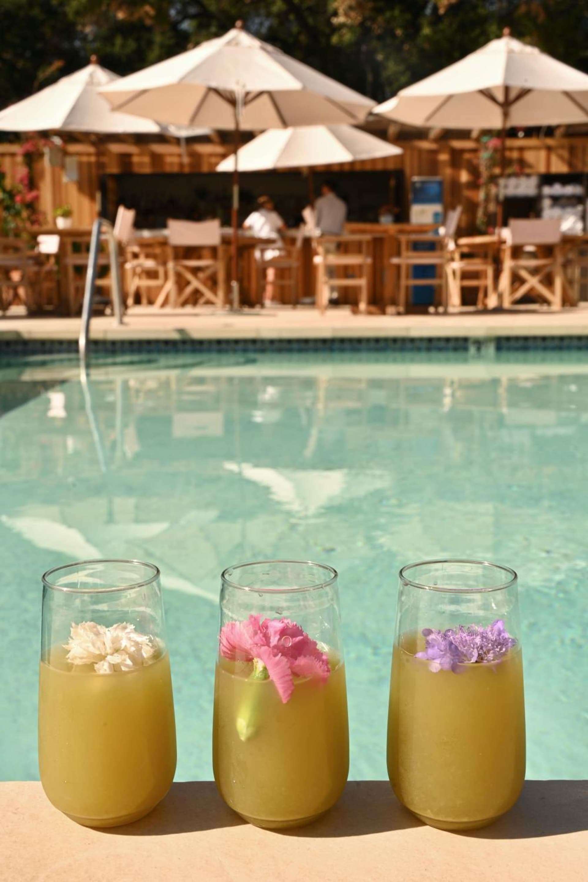 CALAMIGOS RANCH Resort & Spa gallery photo in Malibu, CA — image 141