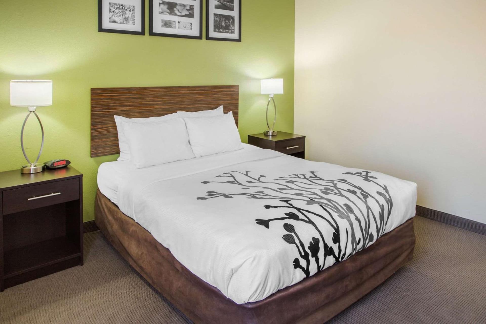 Sleep Inn & Suites Bakersfield North gallery photo in Bakersfield, CA — image 9