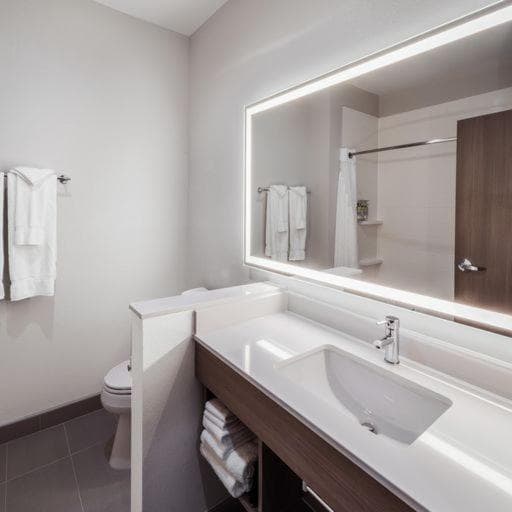 Holiday Inn Express & Suites - Houston SW - Rosenberg by IHG gallery photo in Rosenberg, TX — image 22