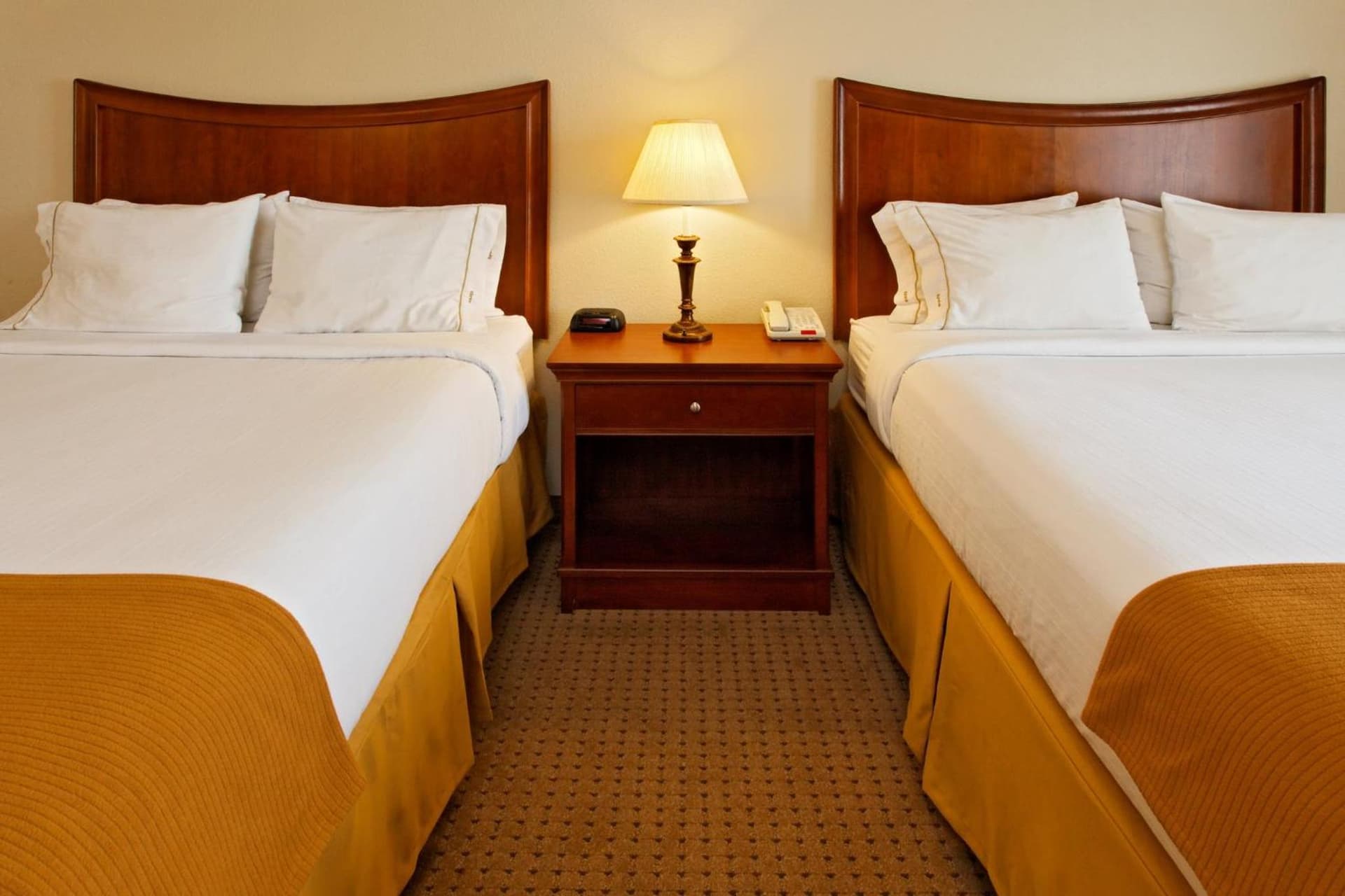 Holiday Inn Express Hotel & Suites Mansfield by IHG gallery photo in Mansfield, TX — image 61