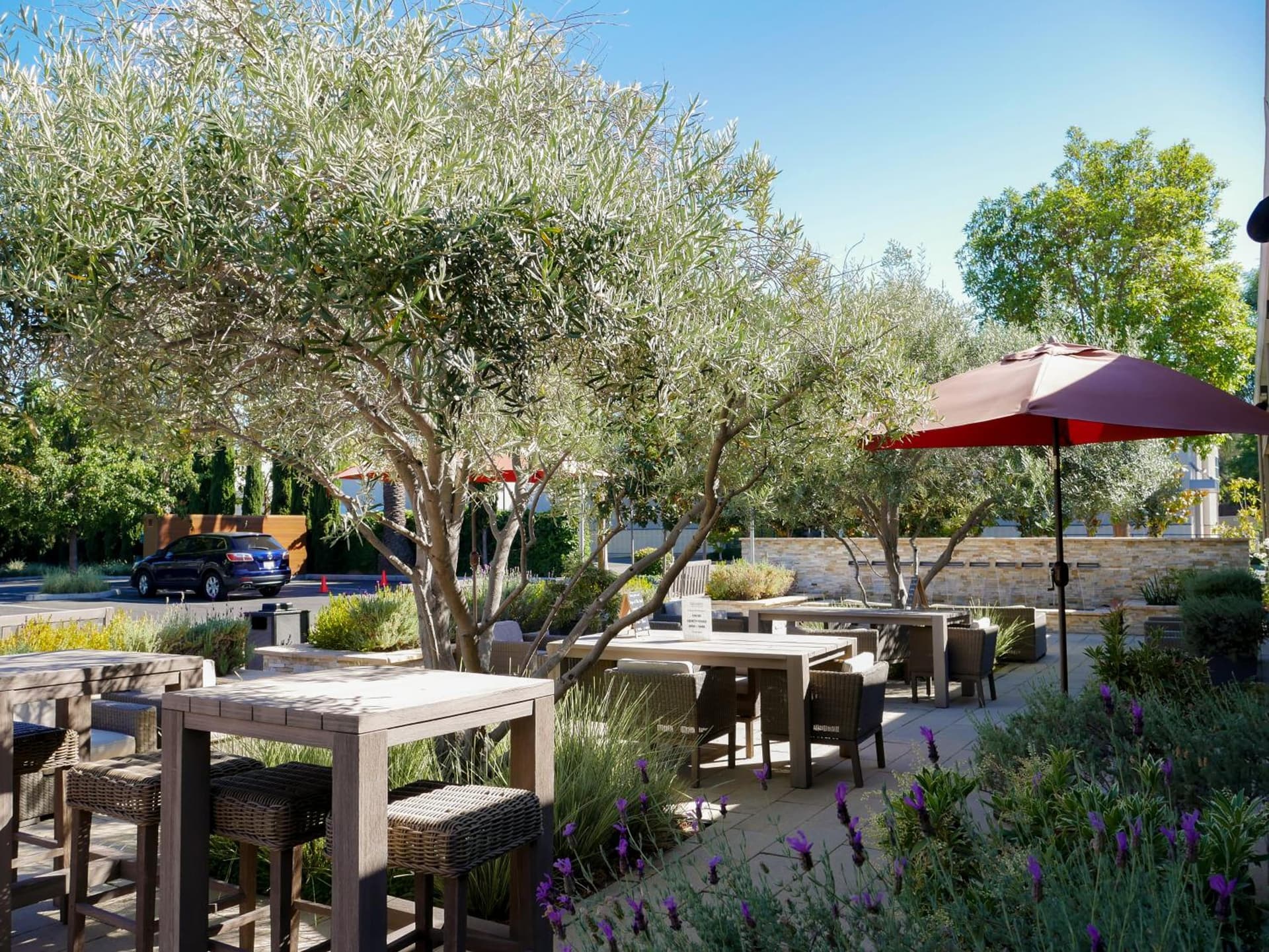 The Nest Hotel Palo Alto gallery photo in Palo Alto, CA — image 9