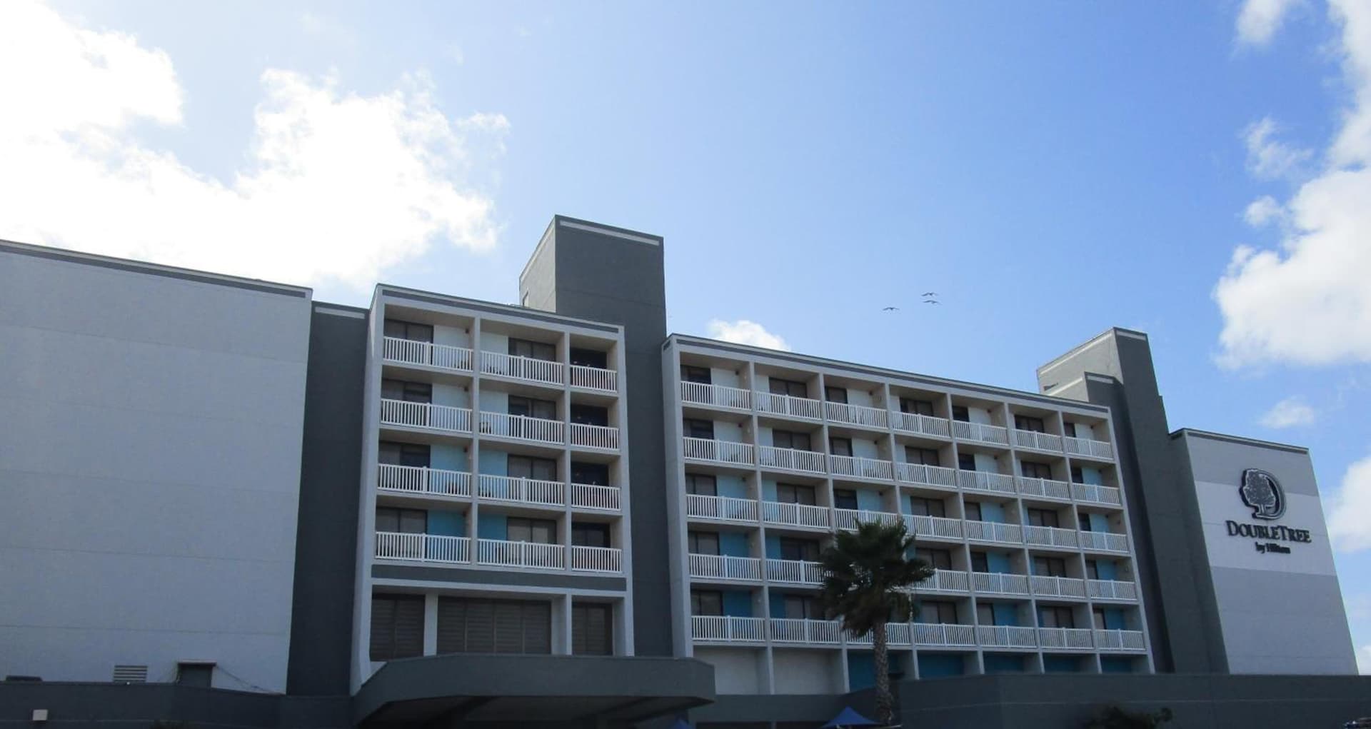 DoubleTree by Hilton Corpus Christi Beachfront gallery photo in Corpus Christi, TX — image 91