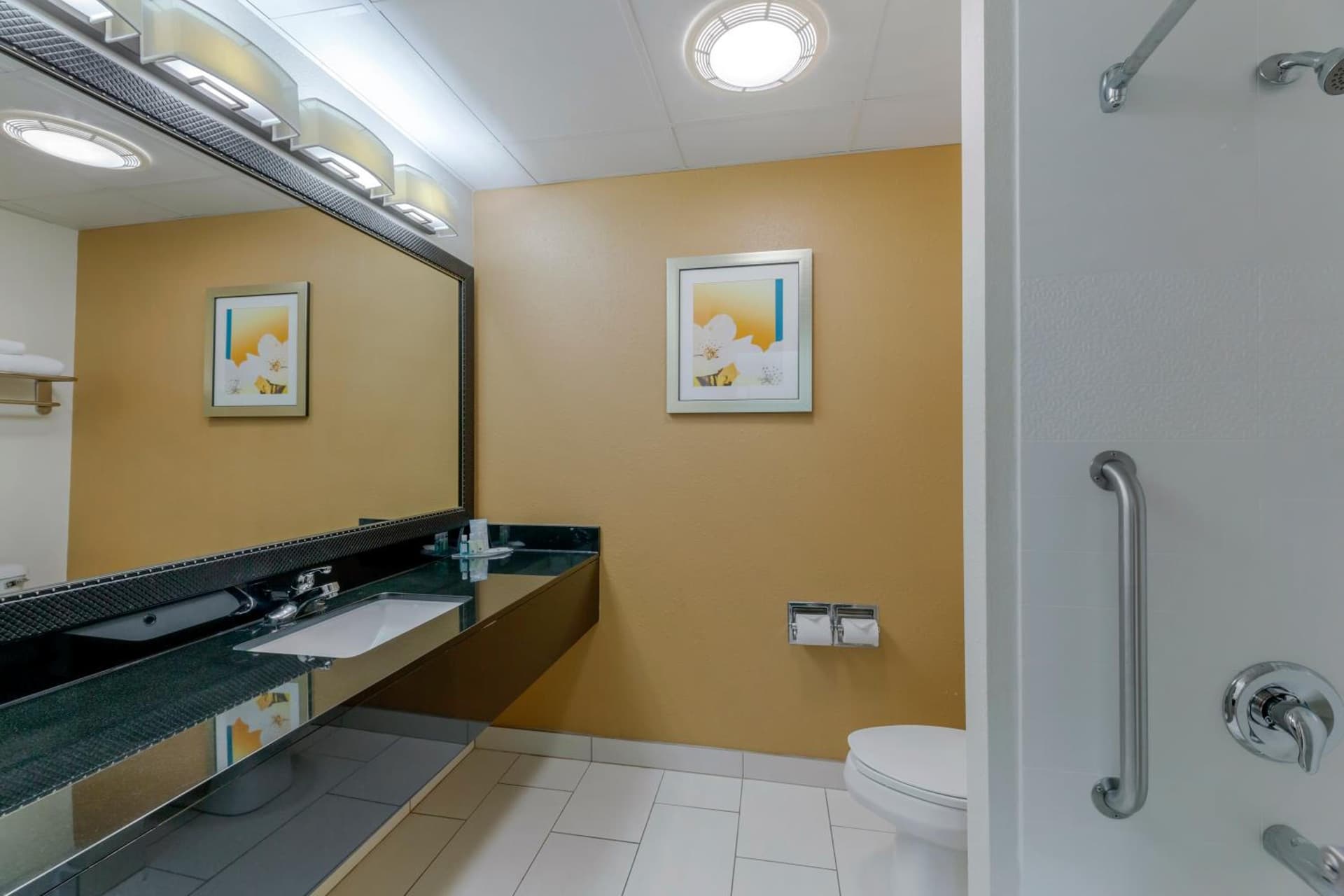 Quality Inn & Suites Sandusky gallery photo in Sandusky, OH — image 18