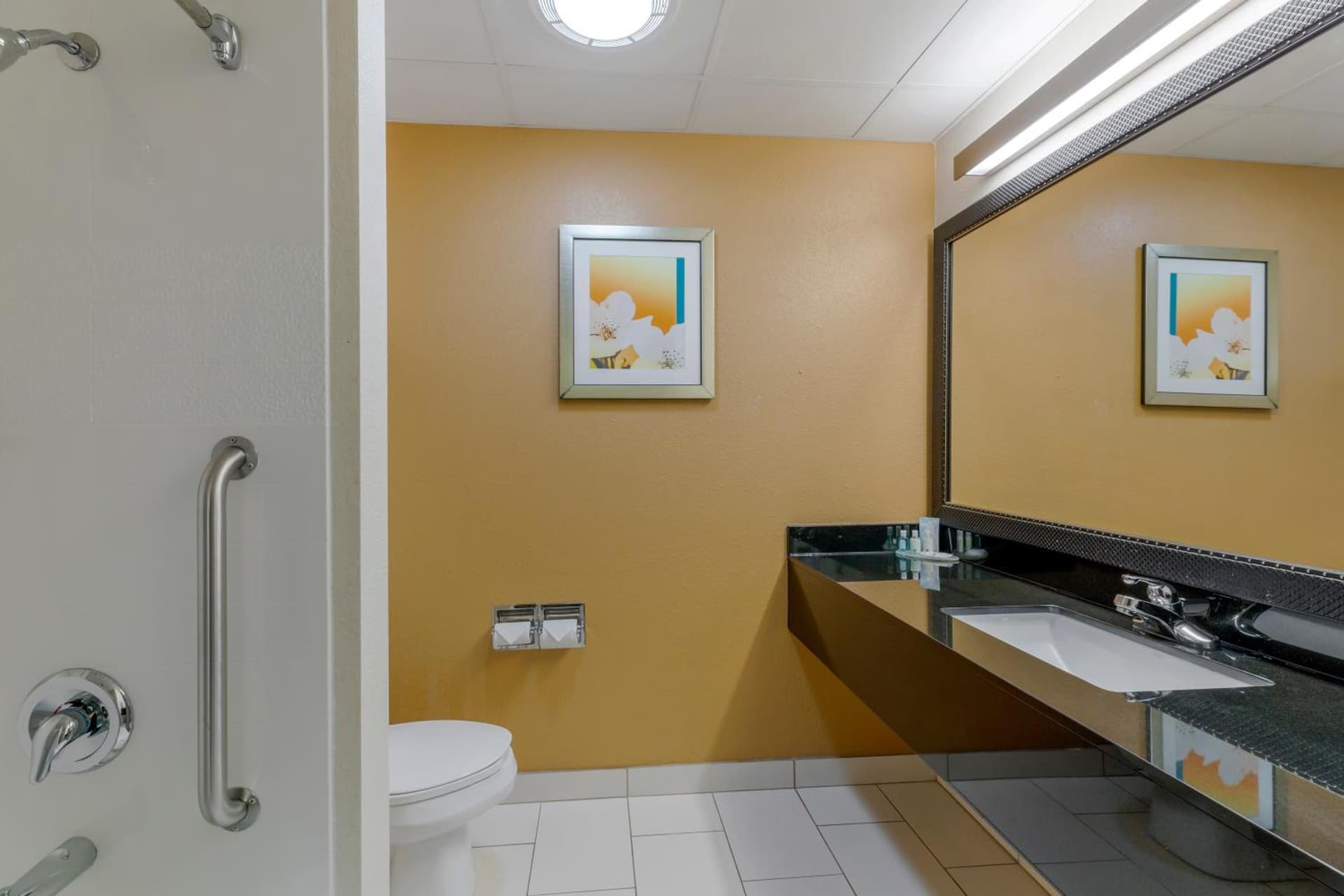 Quality Inn & Suites Sandusky gallery photo in Sandusky, OH — image 16