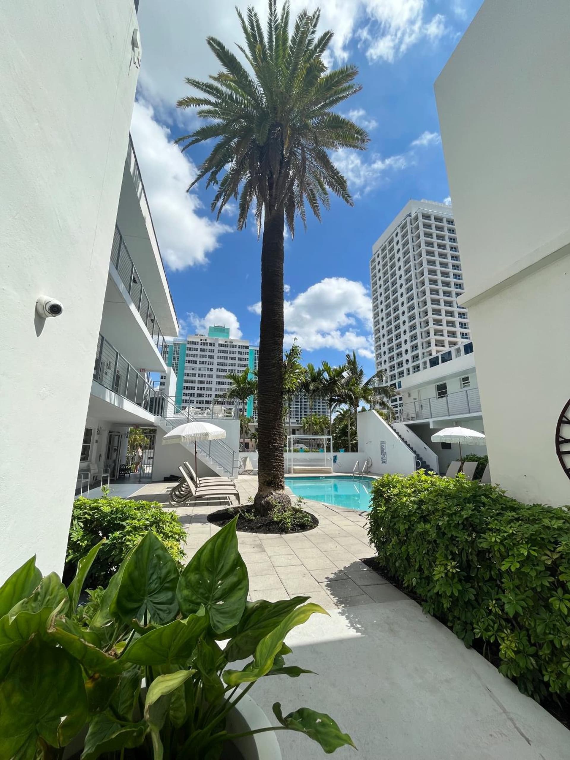 Aqua Hotel gallery photo in Fort Lauderdale, FL — image 35