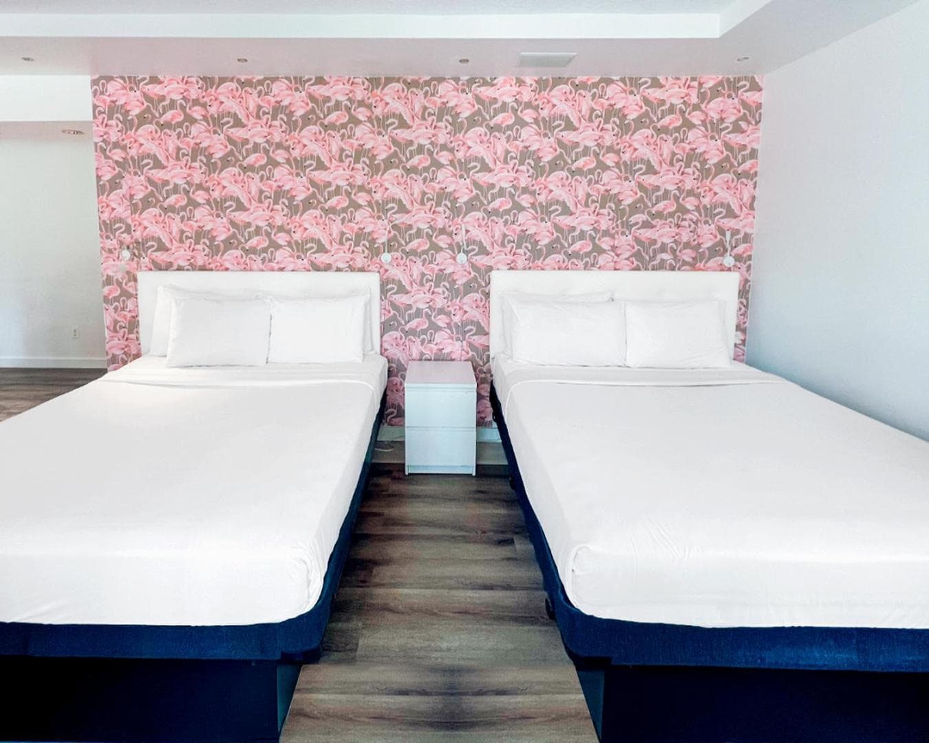 North Beach Hotel gallery photo in Fort Lauderdale, FL — image 46
