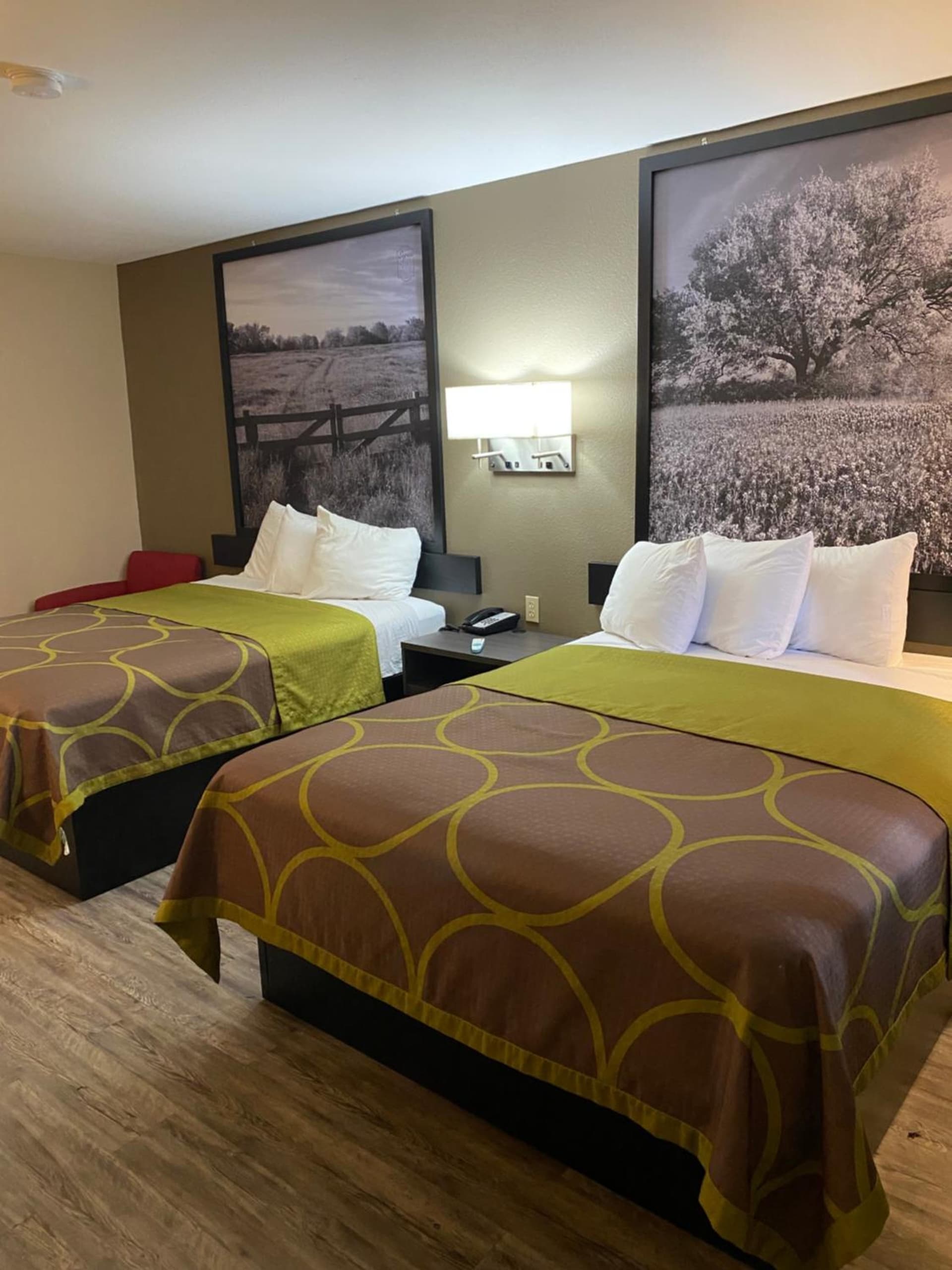 Super 8 by Wyndham Terrell gallery photo in Terrell, TX — image 8