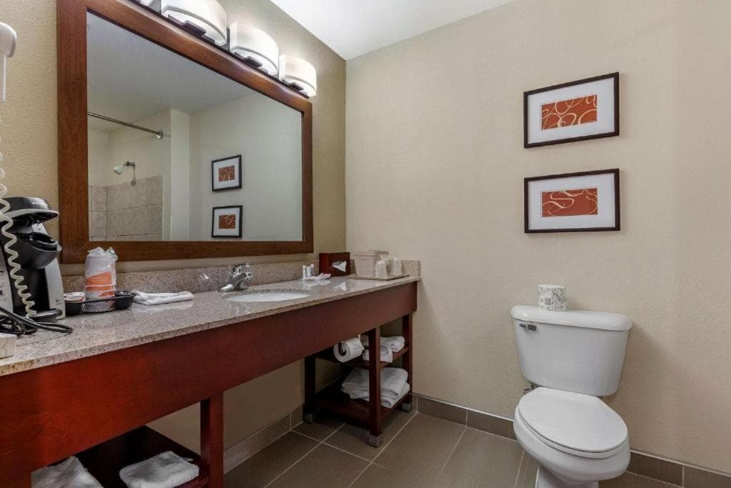 Comfort Suites Delavan - Lake Geneva Area gallery photo in Delavan, WI — image 27