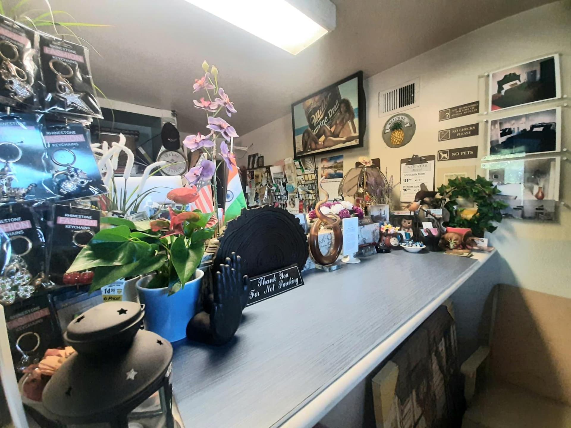 HARRY'S MAN CAVE - A Vintage Motel on the Historic 395 route - The New Star Motel Experience gallery photo in Moreno Valley, CA — image 33