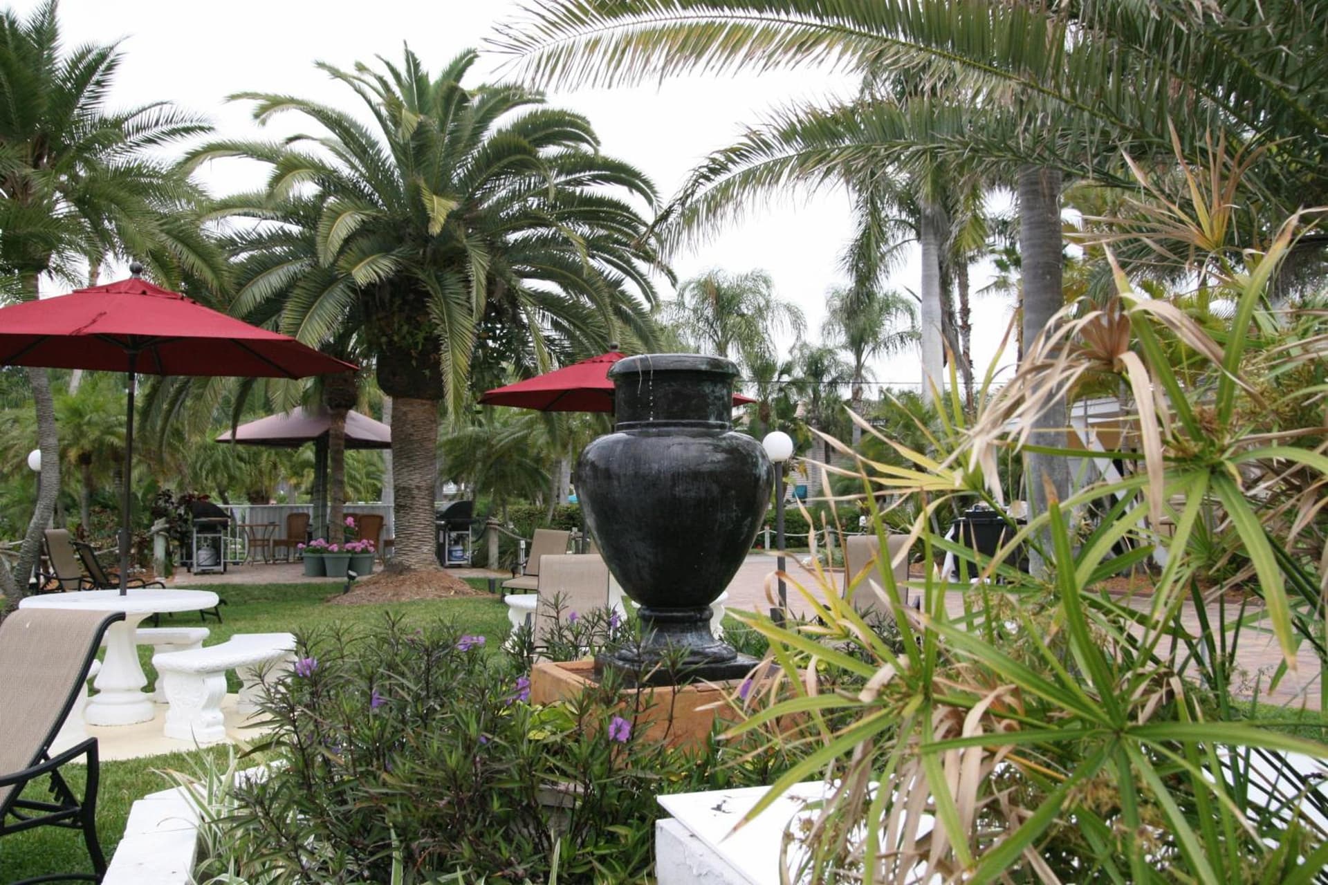 Tropical Beach Resorts - Sarasota gallery photo in Sarasota, FL — image 116