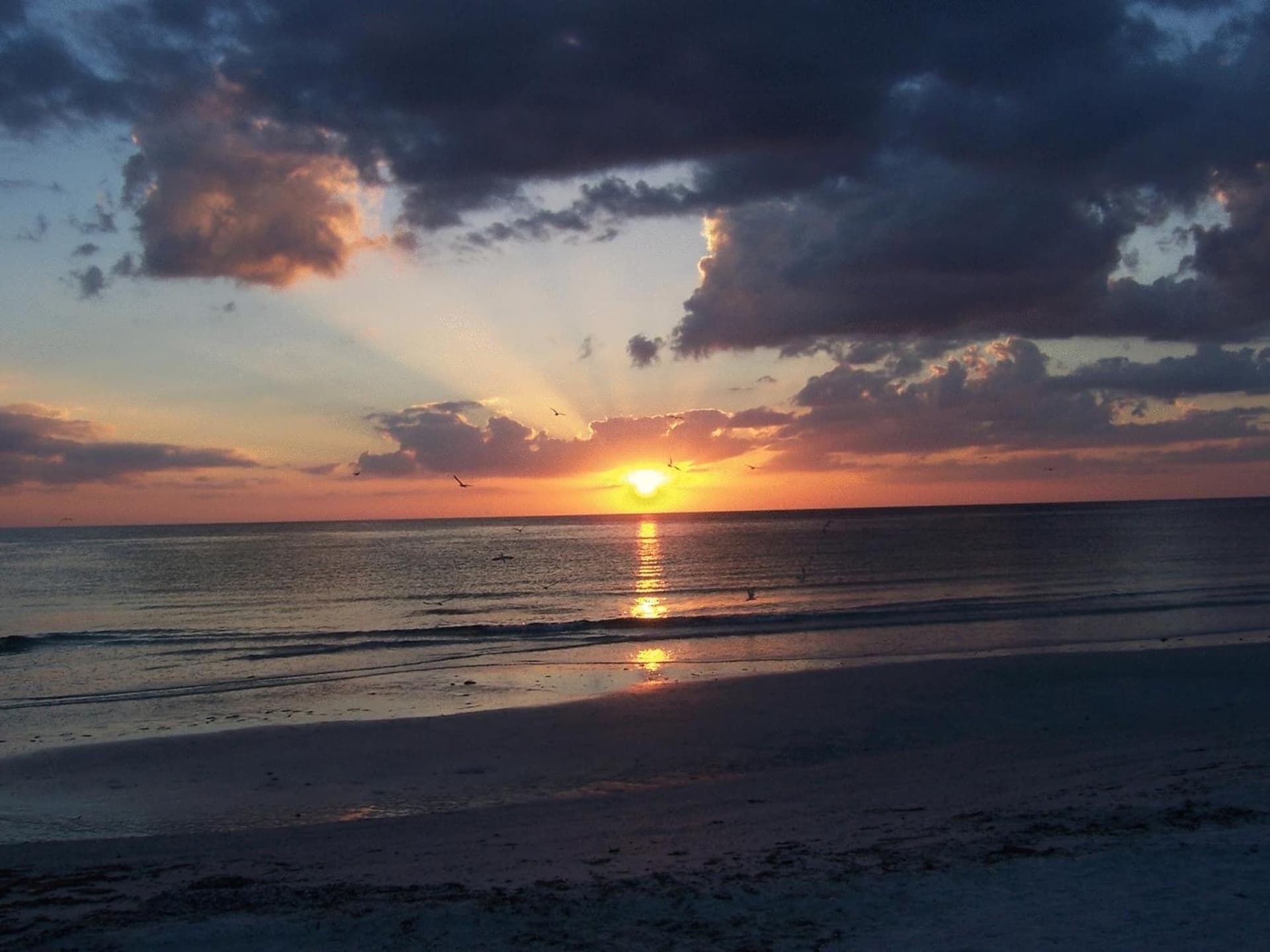 Tropical Beach Resorts - Sarasota gallery photo in Sarasota, FL — image 160