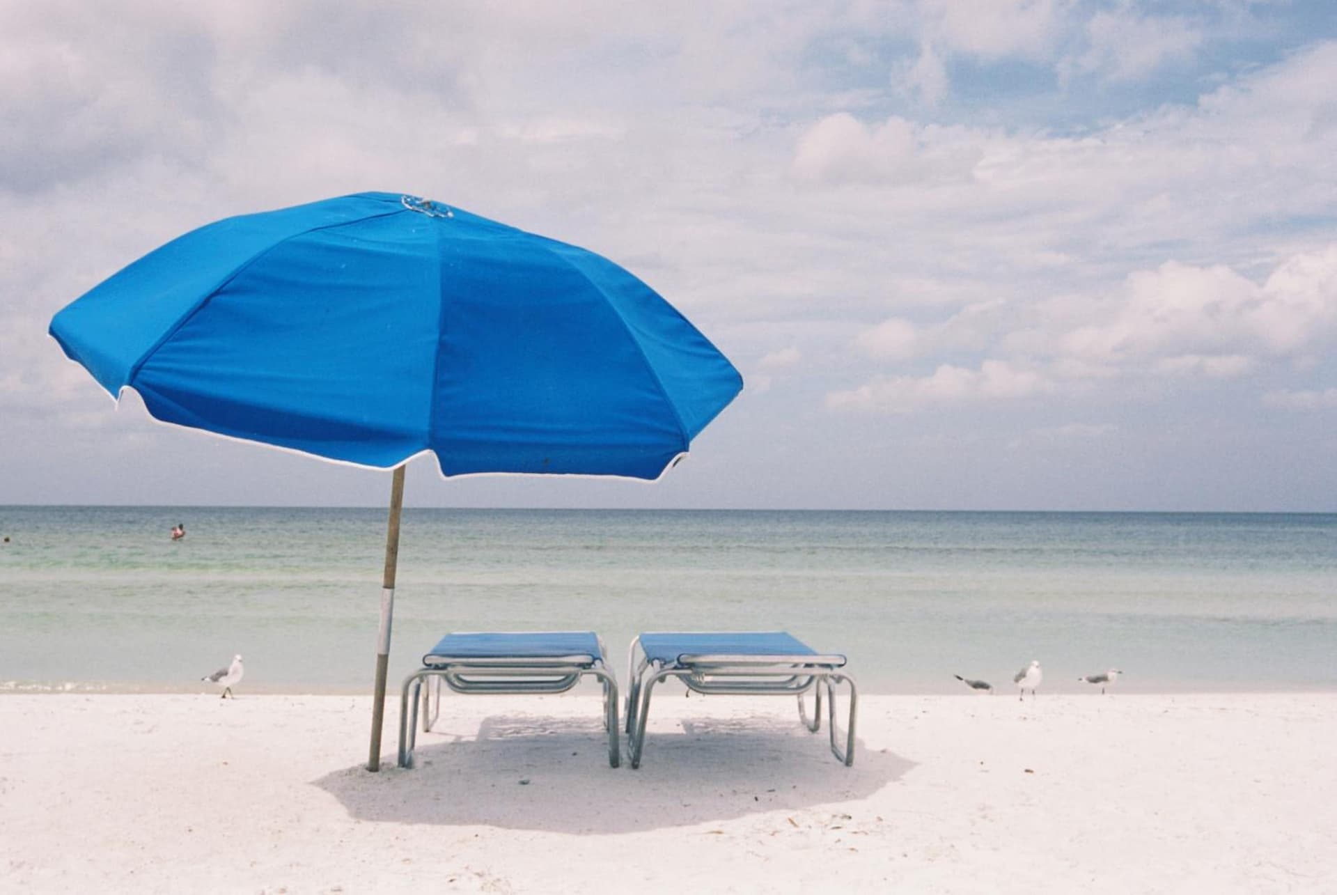 Tropical Beach Resorts - Sarasota gallery photo in Sarasota, FL — image 57