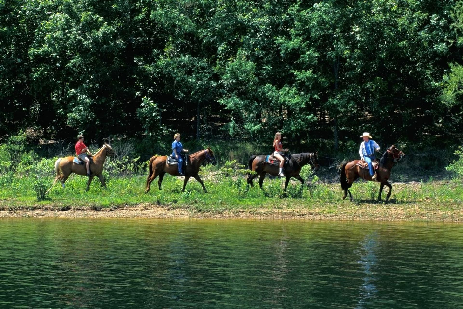 Starlight Haven Hot Springs property views in Hot Springs, AR — gallery photo 3