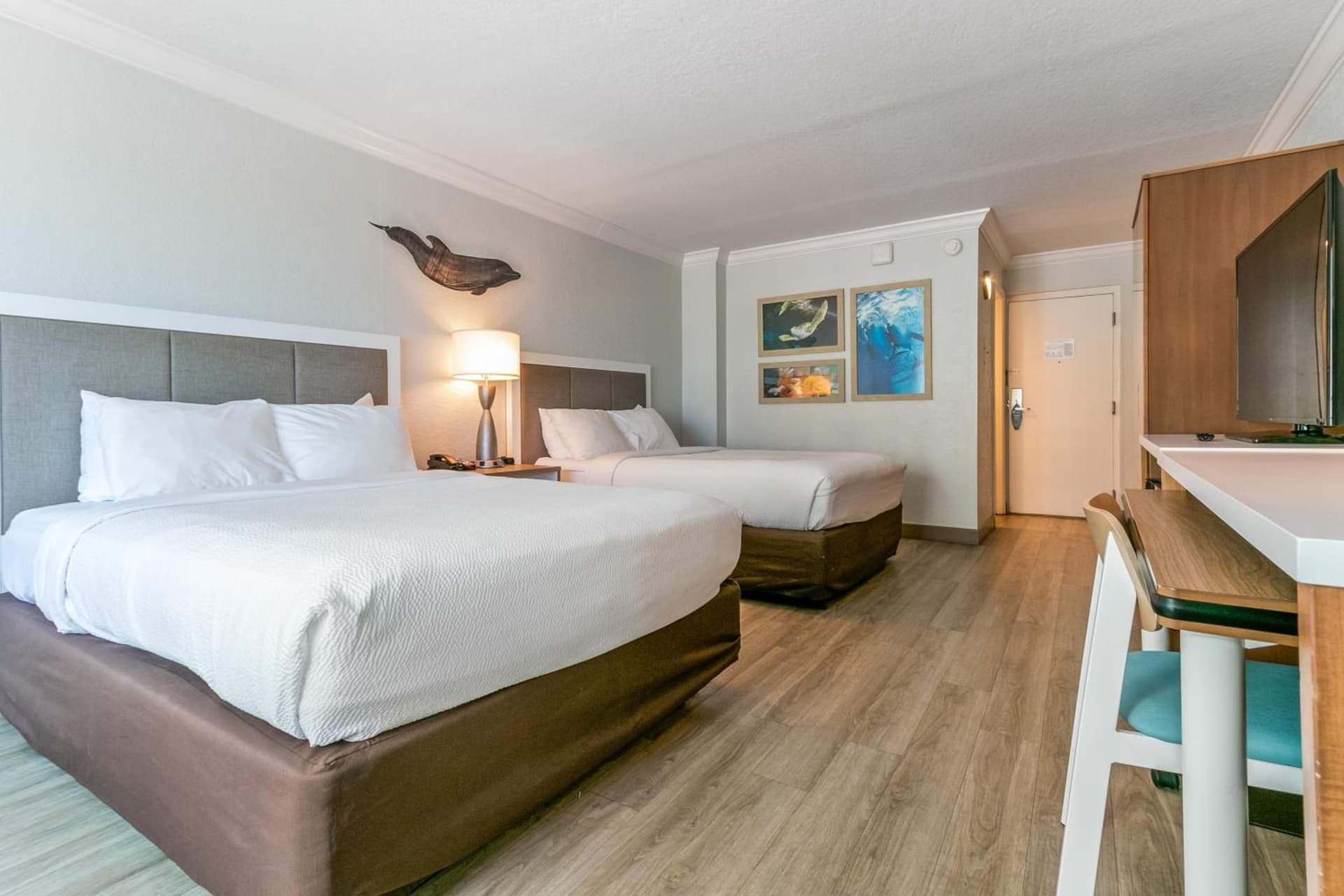 Dolphin Sands Clearwater Beach, an Ascend Collection Hotel gallery photo in Clearwater Beach, FL — image 73