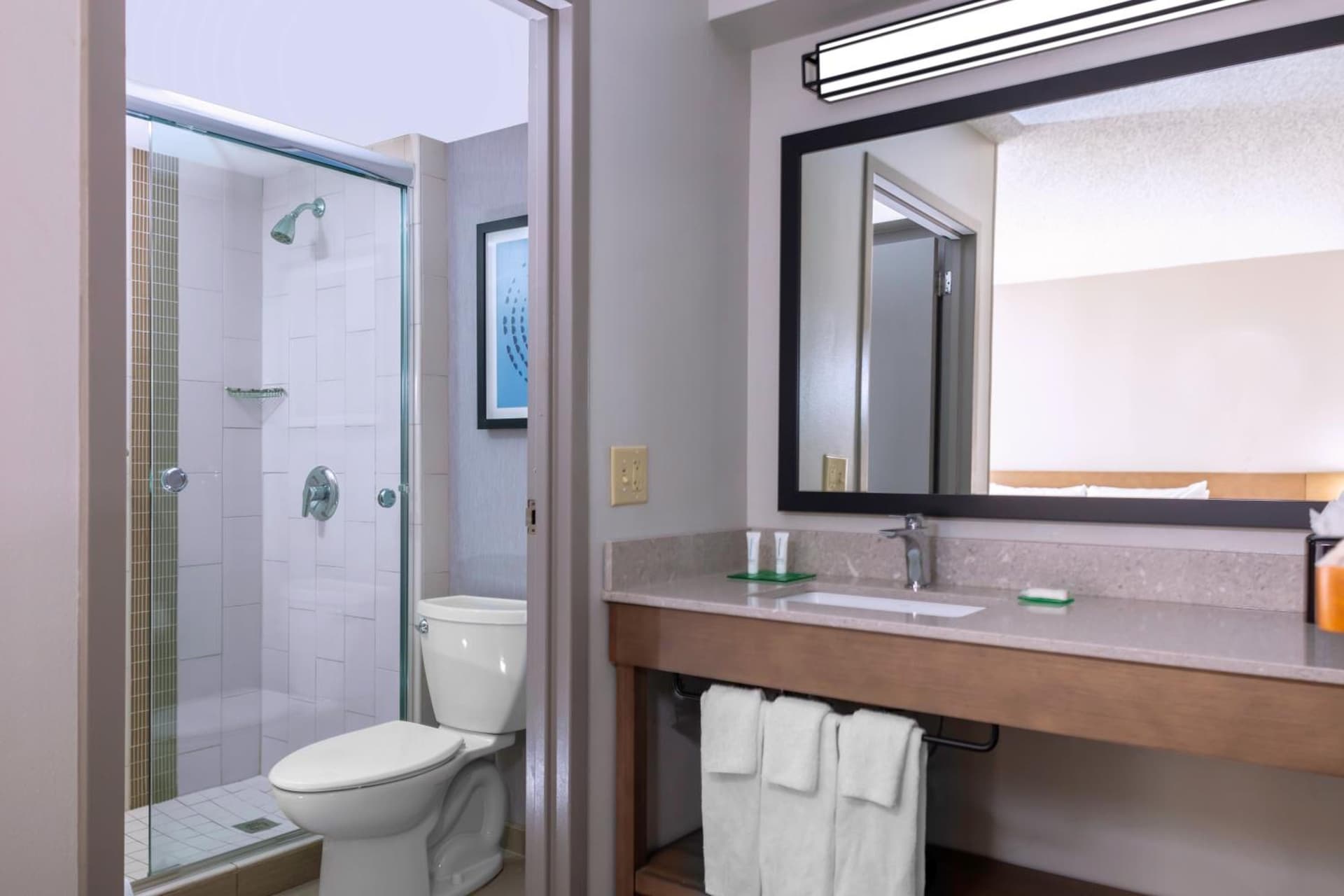 Hyatt Place-Dallas/Arlington property views in Arlington, TX — gallery photo 3