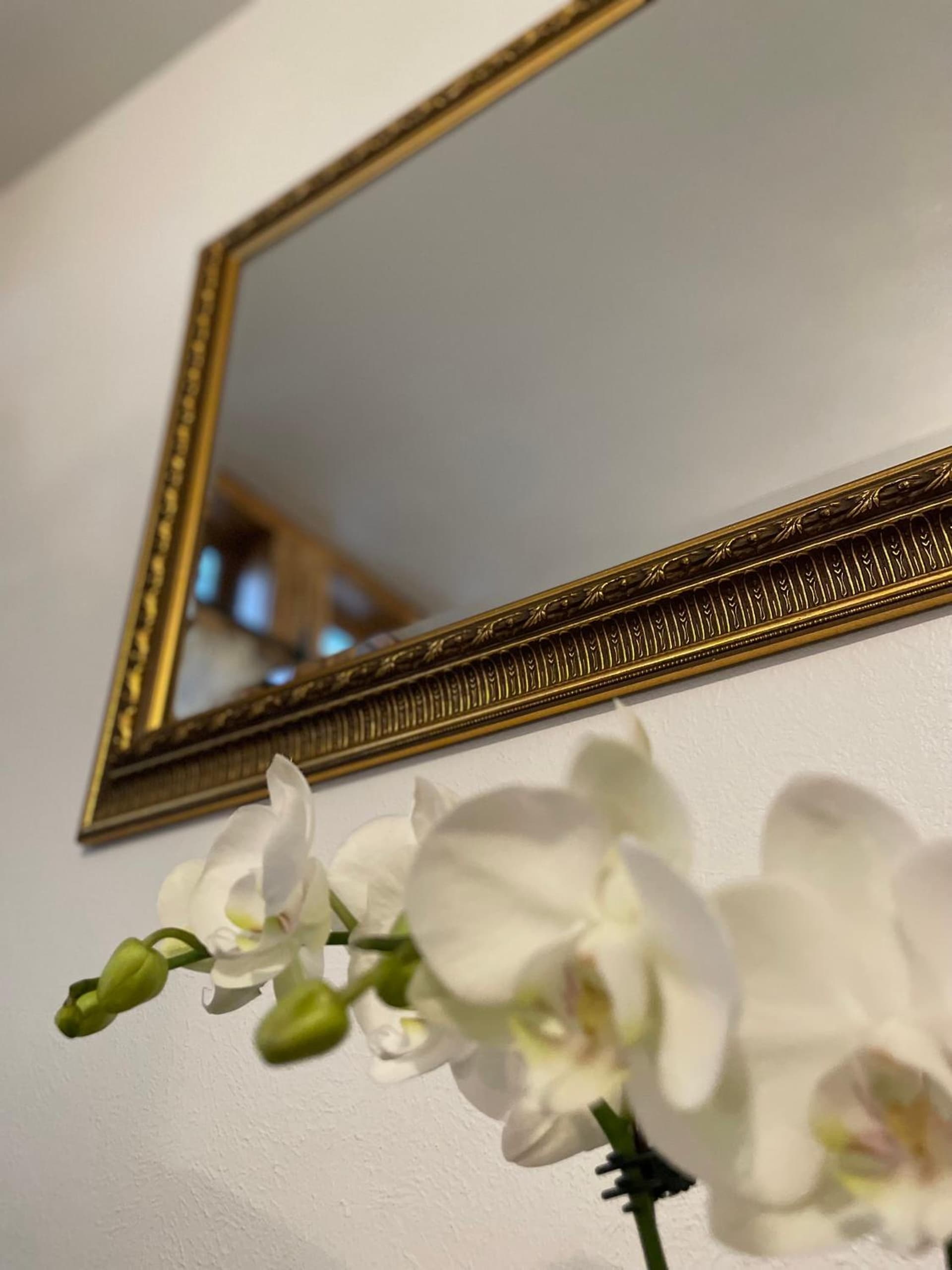 Flora House Denver gallery photo in Denver, CO — image 103