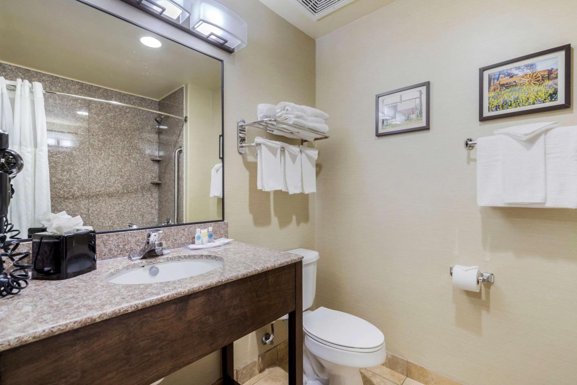 Comfort Suites Pflugerville - Austin North gallery photo in Pflugerville, TX — image 8