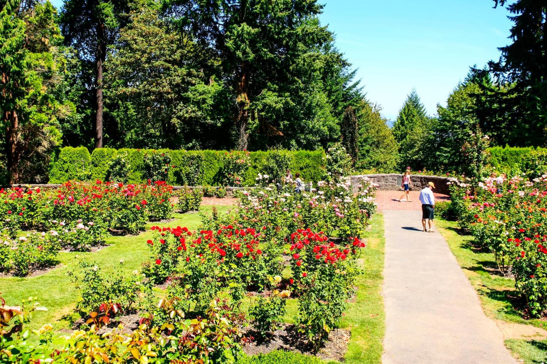 Holiday Inn Portland West - Hillsboro by IHG gallery photo in Hillsboro, OR — image 27