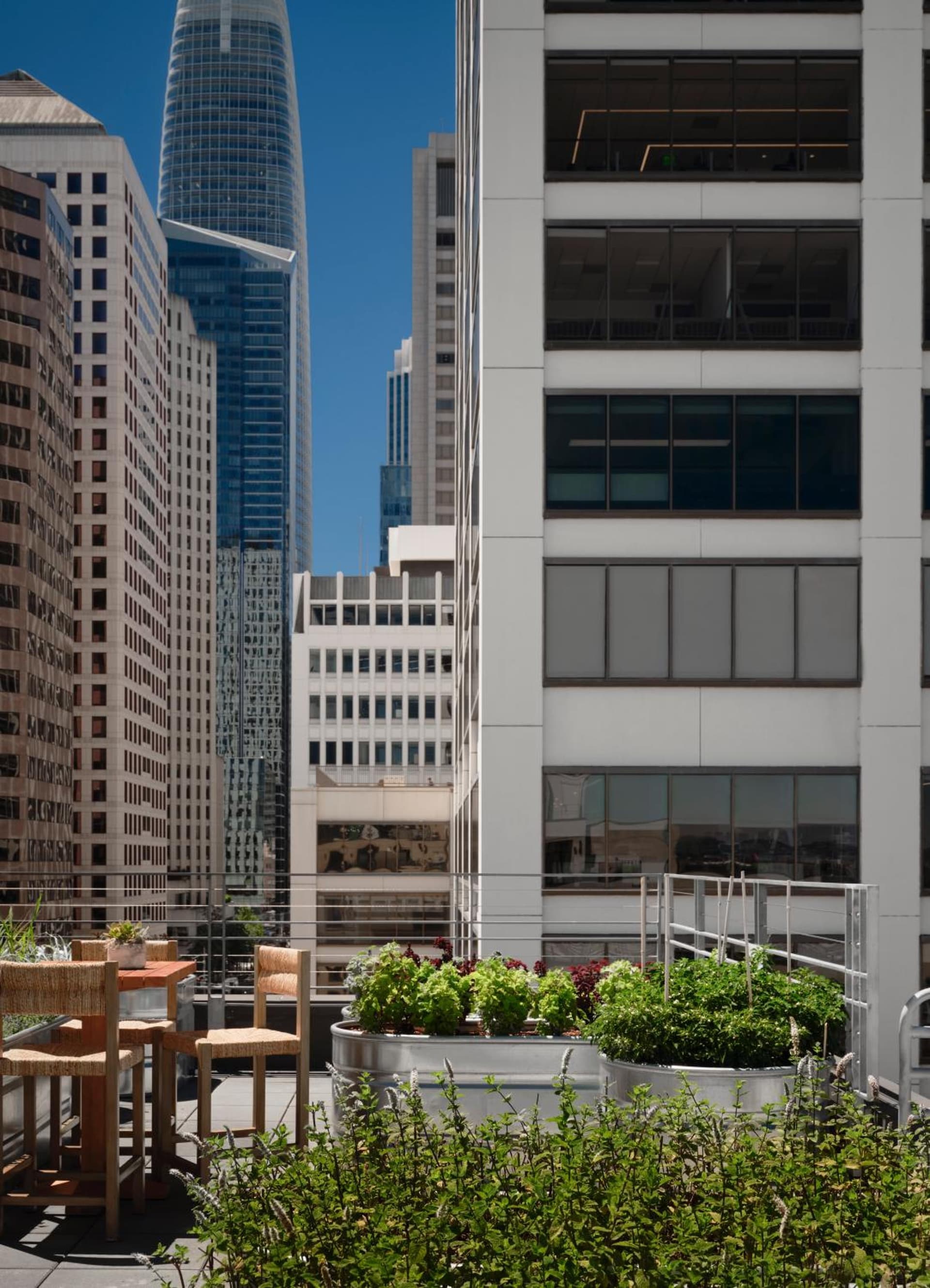 1 Hotel San Francisco gallery photo in San Francisco, CA — image 41