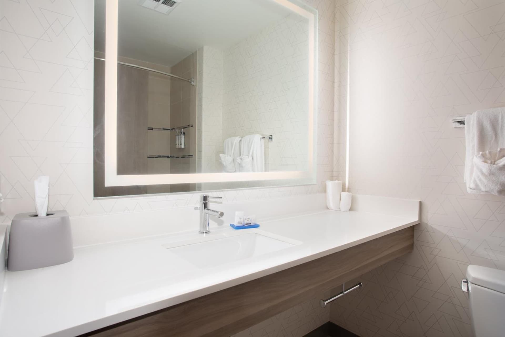 Holiday Inn Express Hotel & Suites Grand Junction by IHG gallery photo in Grand Junction, CO — image 55