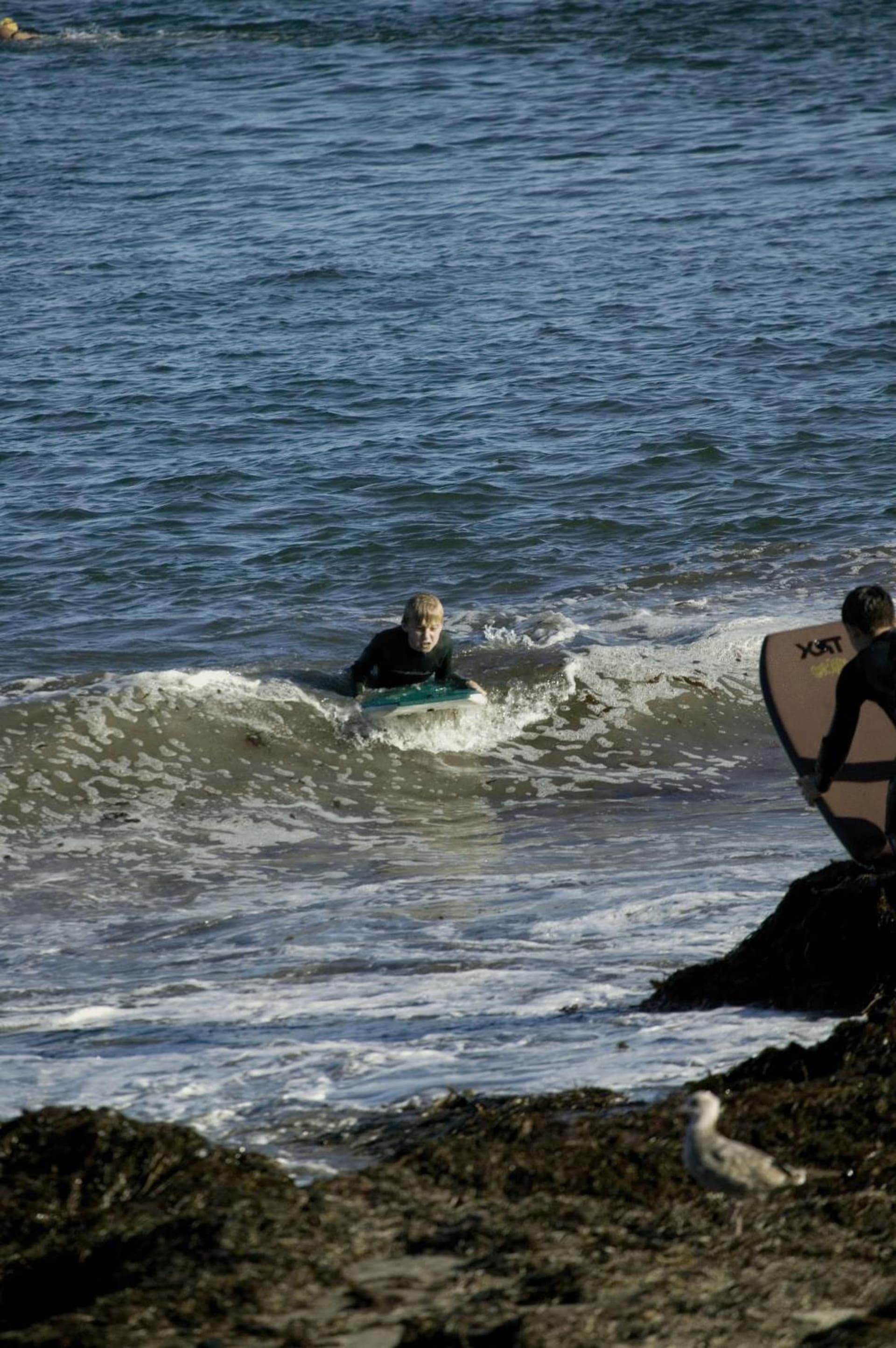West Cliff Inn, A Four Sisters Inn gallery photo in Santa Cruz, CA — image 22