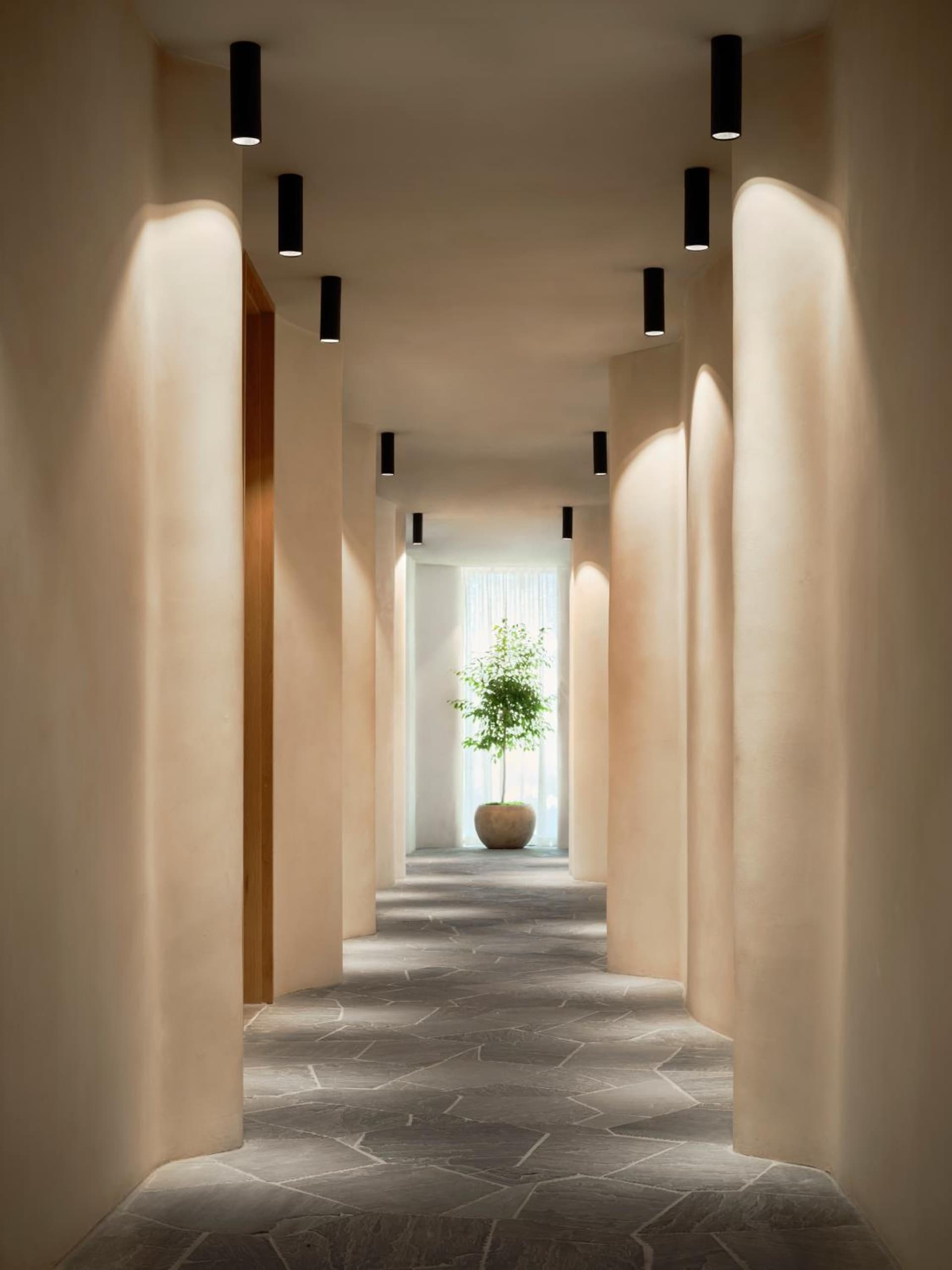 1 Hotel Nashville gallery photo in Nashville, TN — image 21