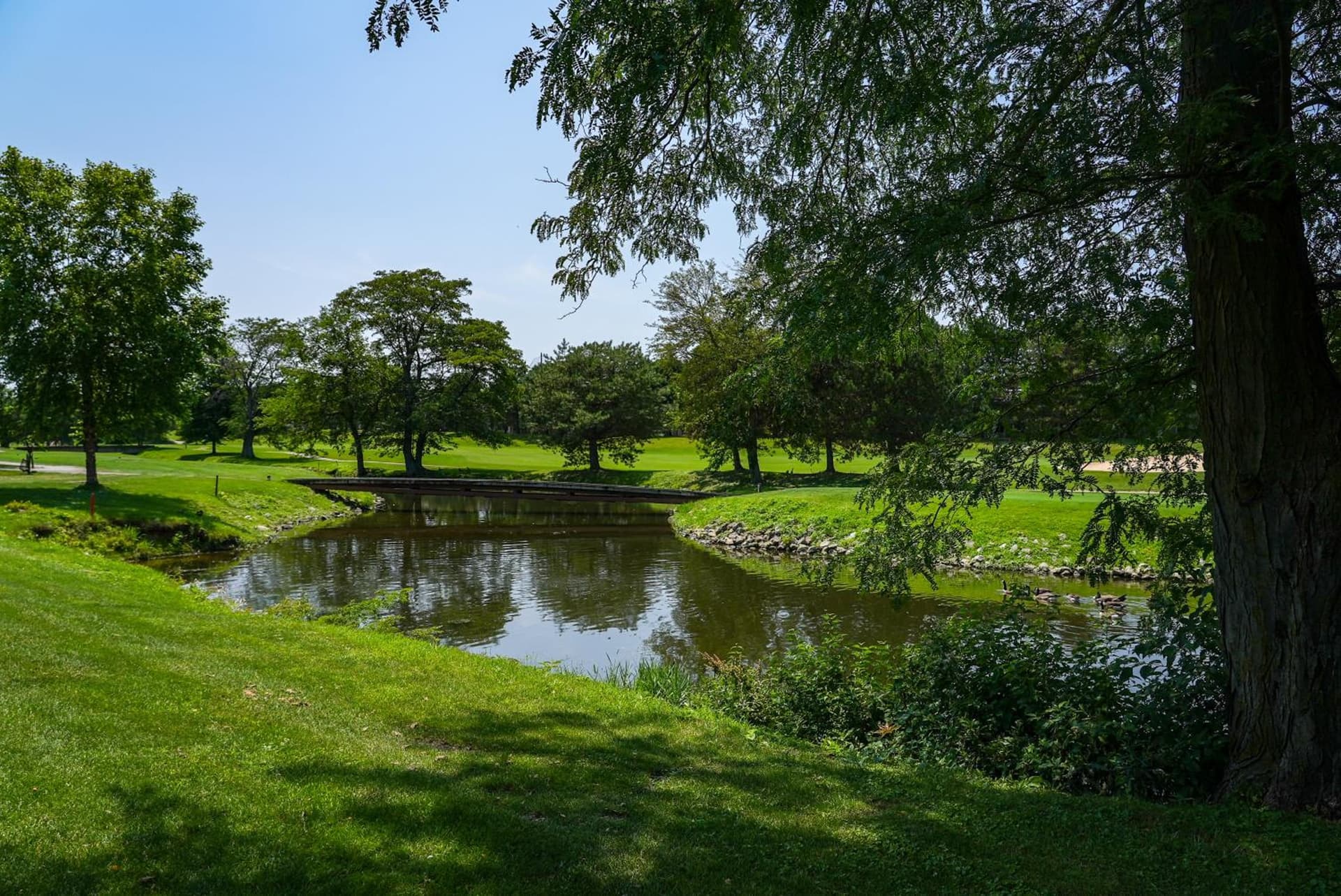 Sawmill Creek by Cedar Point Resorts gallery photo in Sandusky, OH — image 50