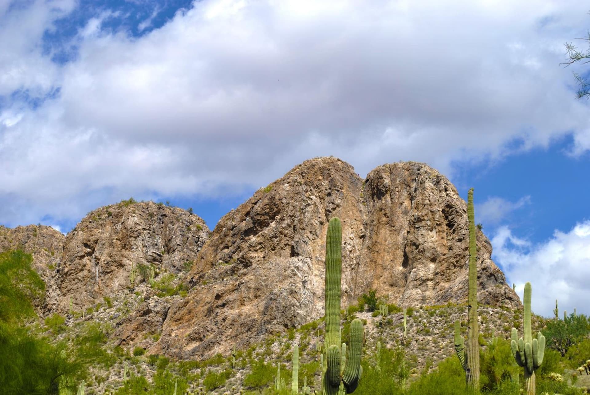 Gold Canyon Golf Resort gallery photo in Gold Canyon, AZ — image 6