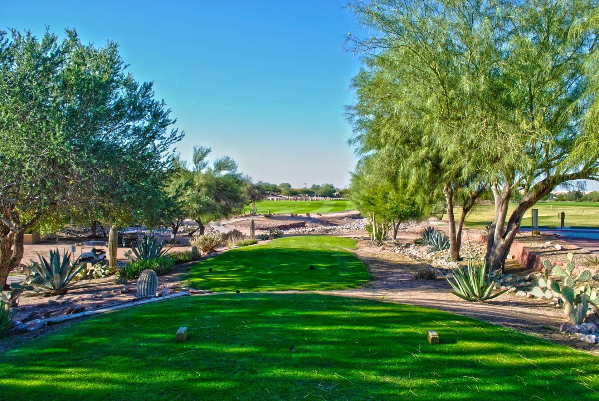 Gold Canyon Golf Resort gallery photo in Gold Canyon, AZ — image 17