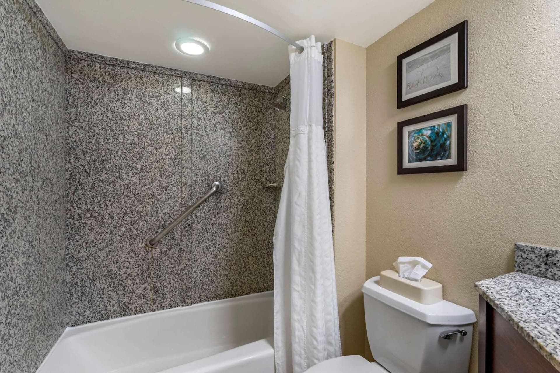 Comfort Inn & Suites St Pete - Clearwater International Airport gallery photo in Clearwater, FL — image 24