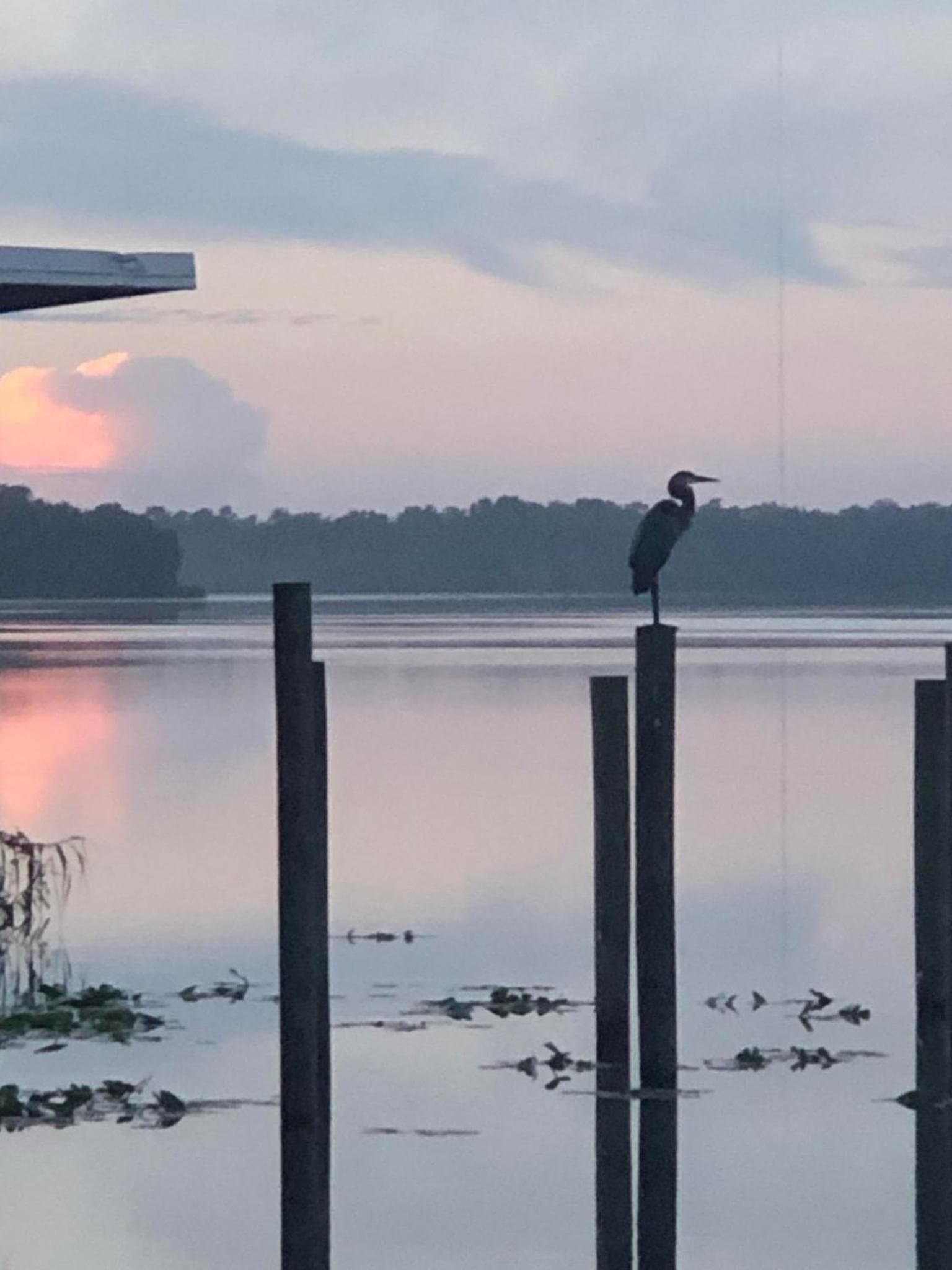 Tropical Marina & Resort on Lake Beresford interior in DeLand, FL — gallery photo 2