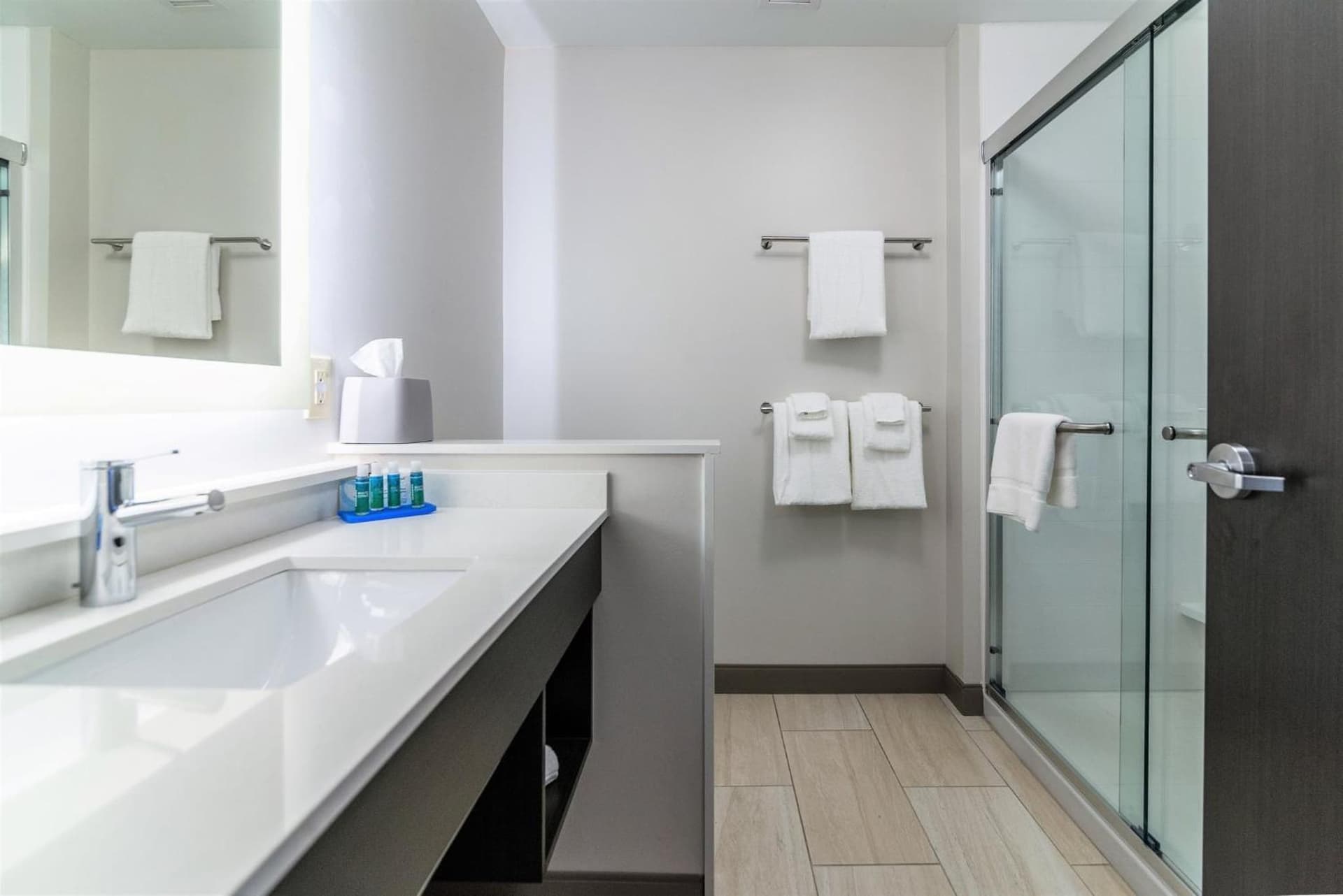 Holiday Inn Express & Suites Allen Park by IHG gallery photo in Allen Park, MI — image 36