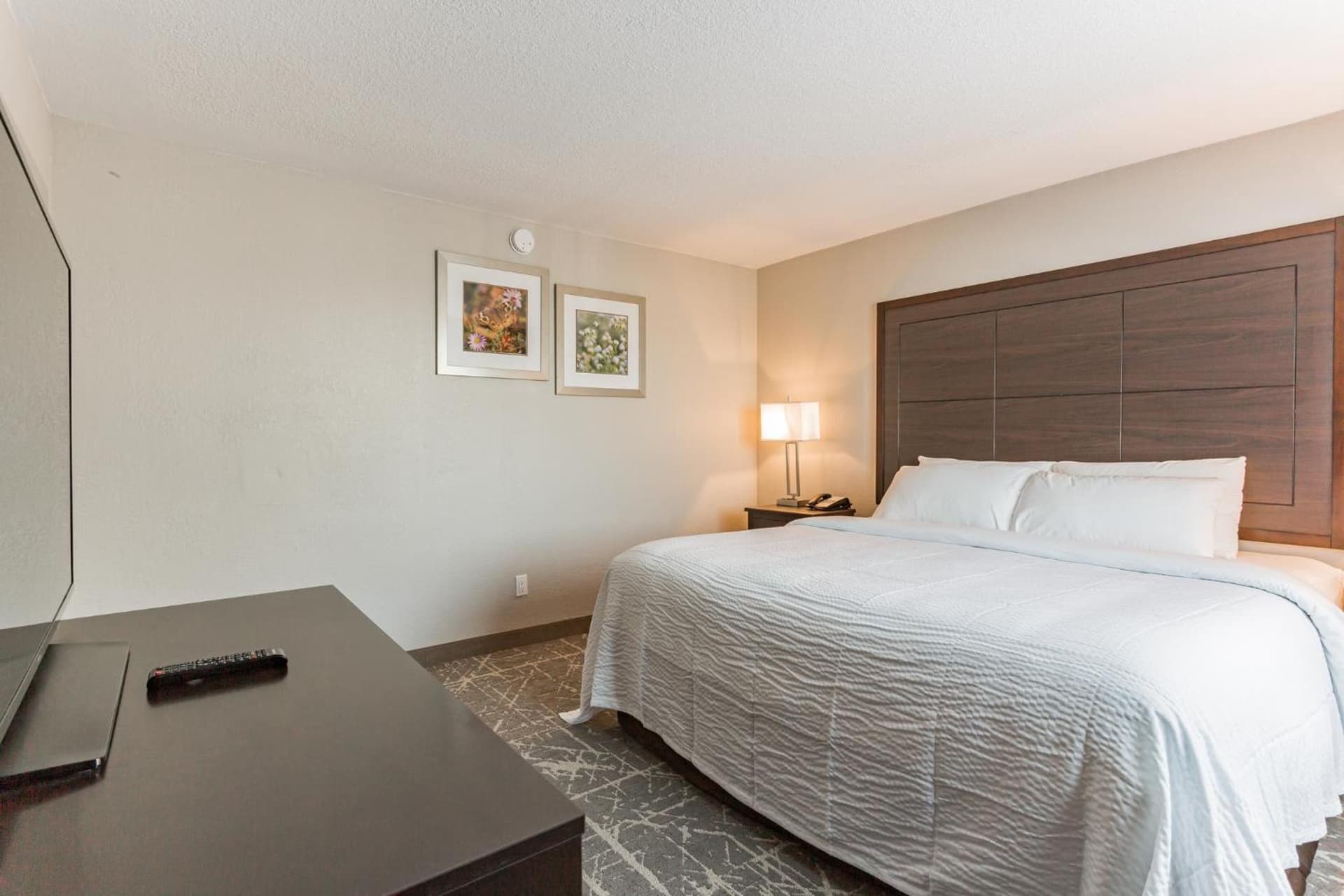 Orangewood Inn & Suites Kansas City Airport gallery photo in Kansas City, KS — image 33