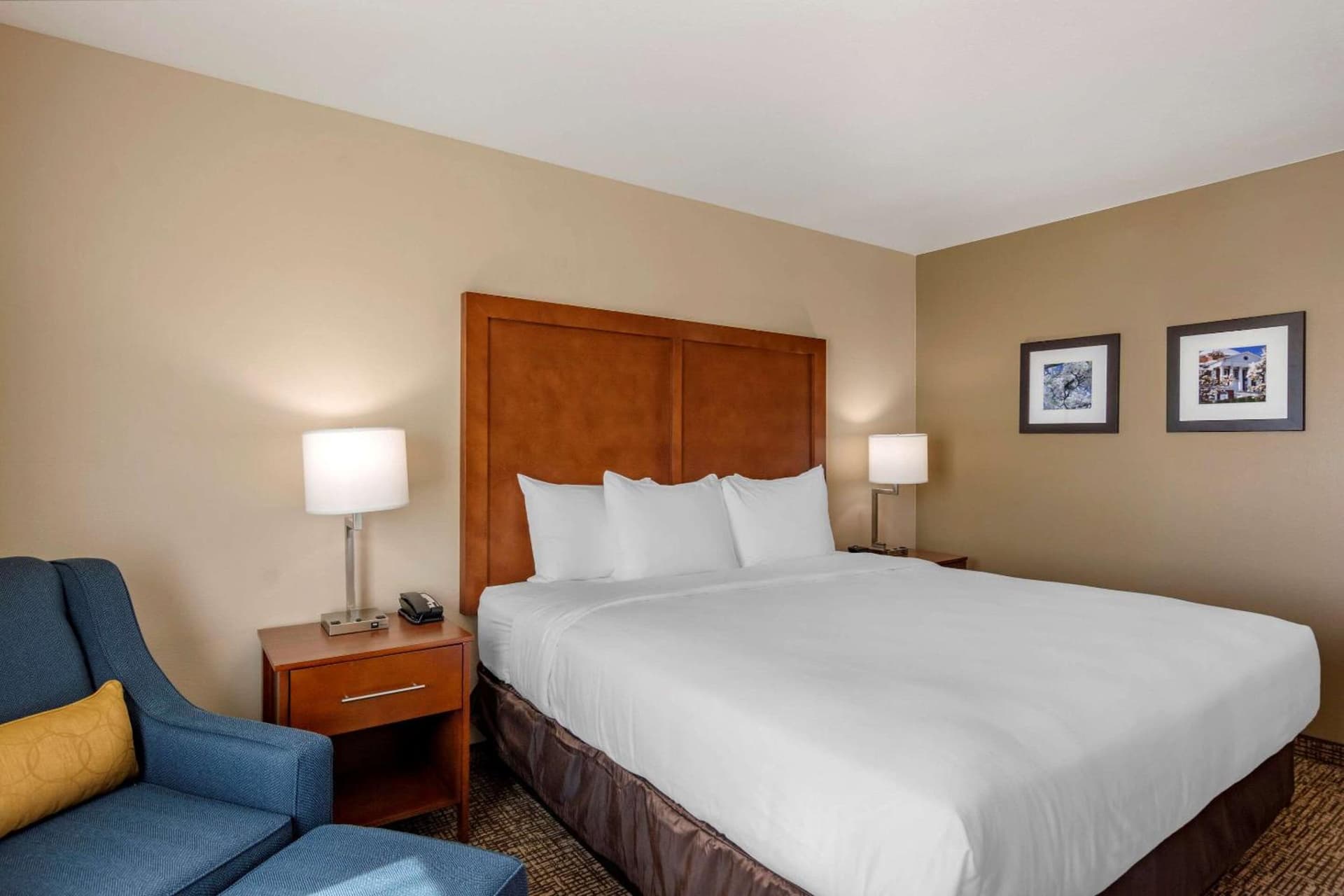 Comfort Inn & Suites Charlottesville Hollymead Town Center gallery photo in Charlottesville, VA — image 21