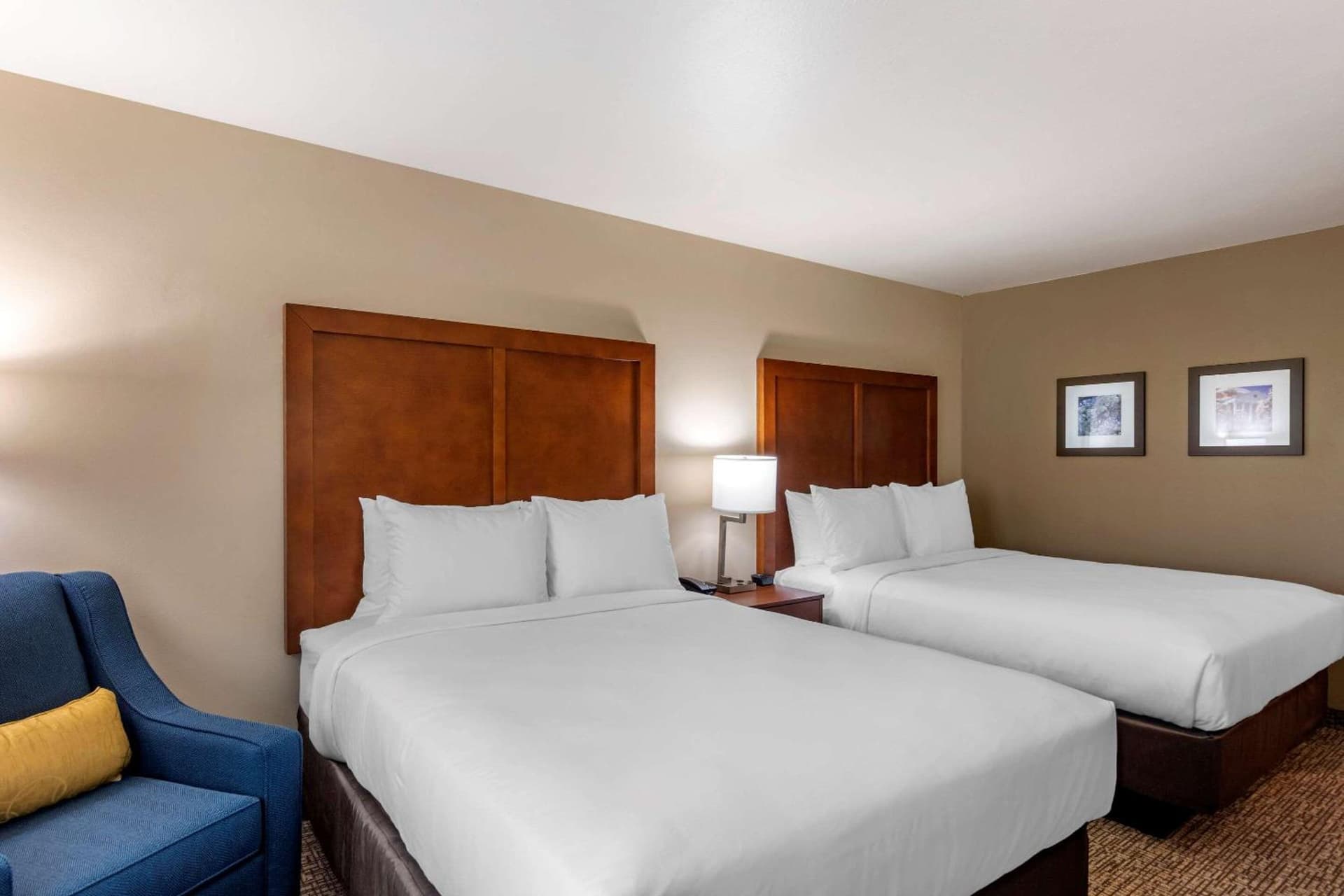 Comfort Inn & Suites Charlottesville Hollymead Town Center gallery photo in Charlottesville, VA — image 5