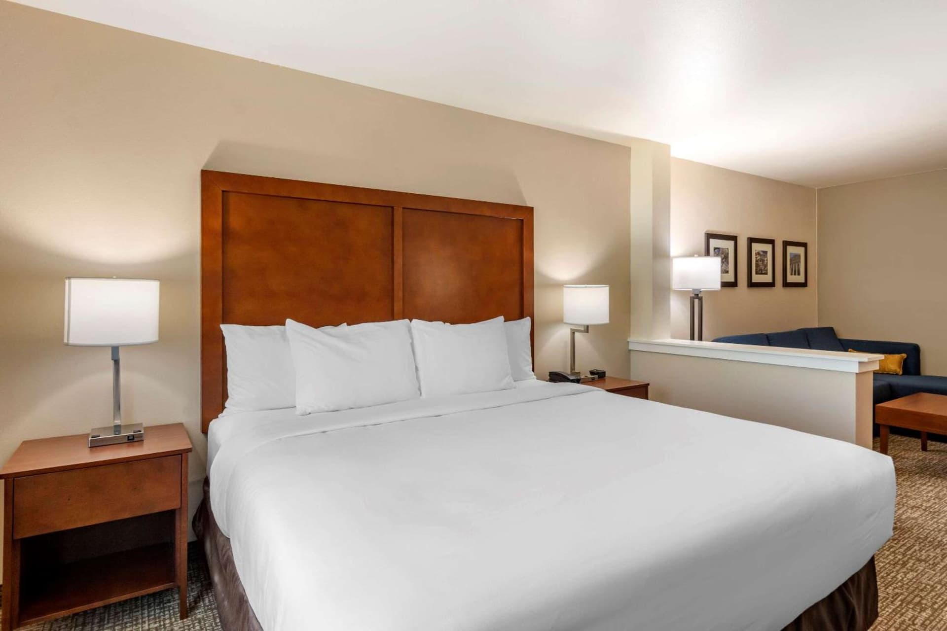 Comfort Inn & Suites Charlottesville Hollymead Town Center gallery photo in Charlottesville, VA — image 11