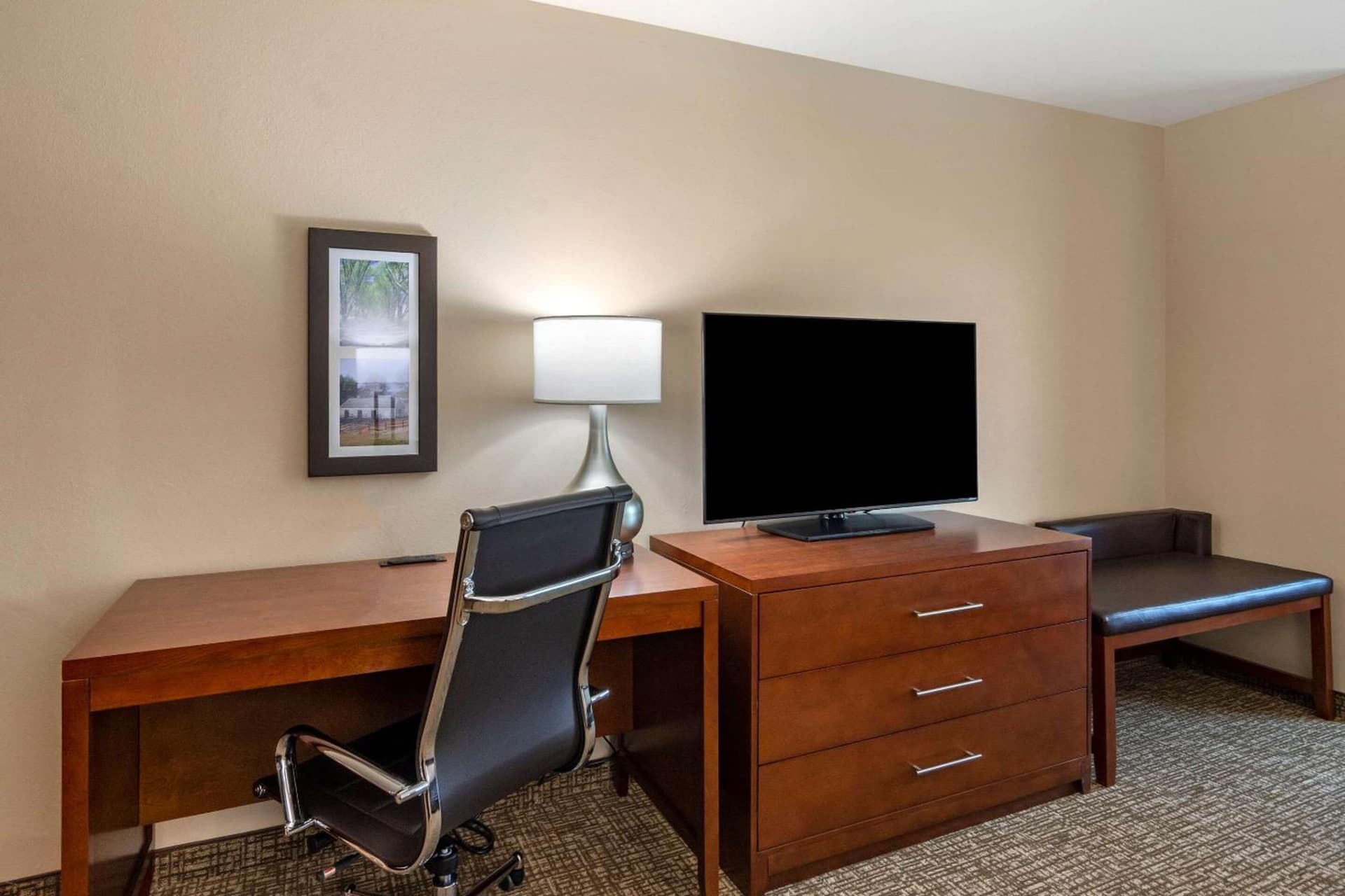 Comfort Inn & Suites Charlottesville Hollymead Town Center gallery photo in Charlottesville, VA — image 12