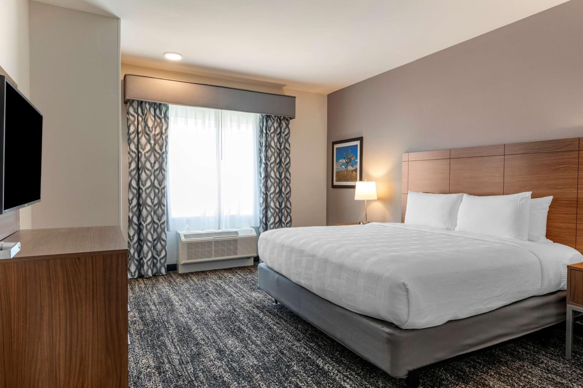 Best Western Plus Coachella Valley Inn & Suites gallery photo in Cathedral City, CA — image 5