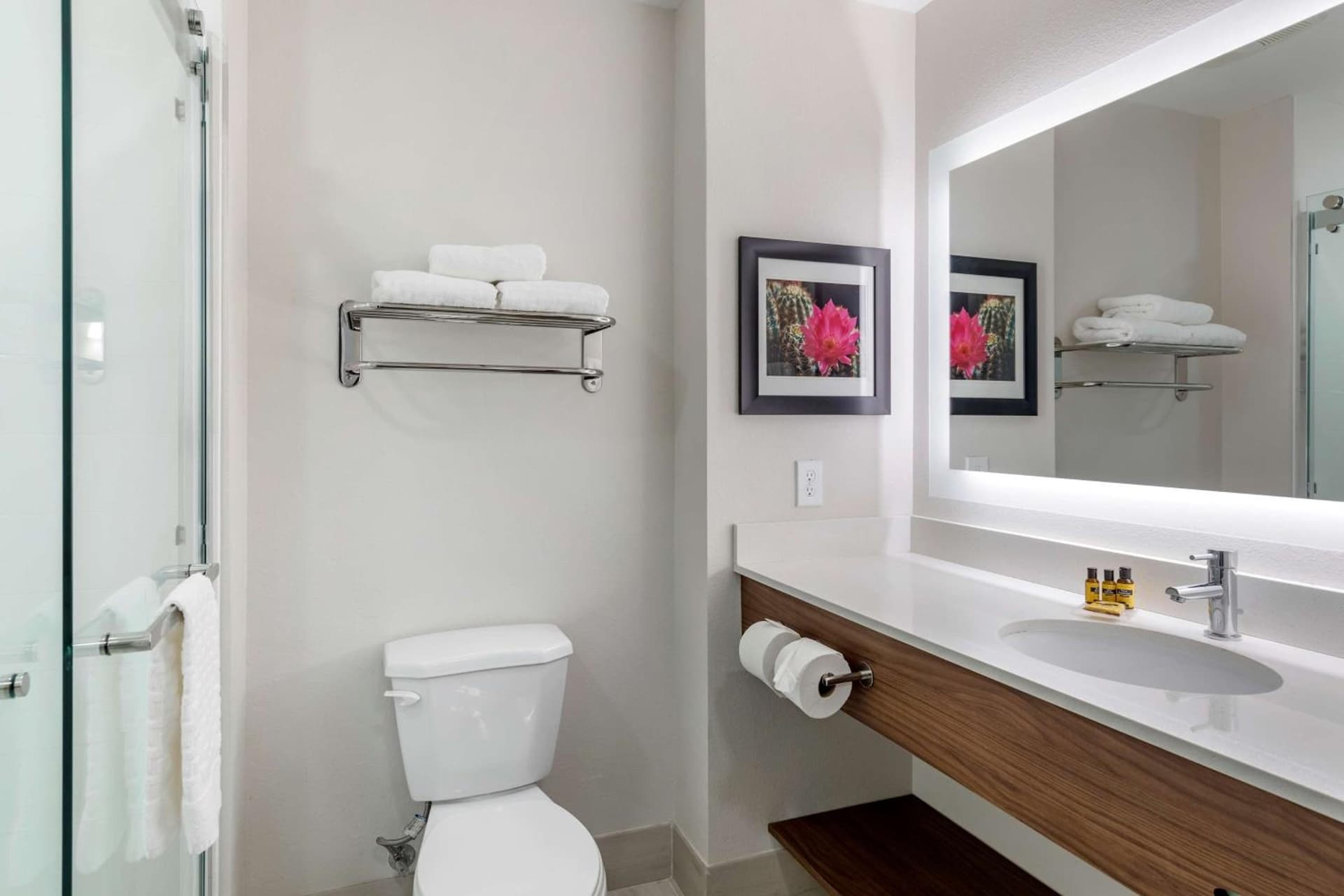 Best Western Plus Coachella Valley Inn & Suites gallery photo in Cathedral City, CA — image 17