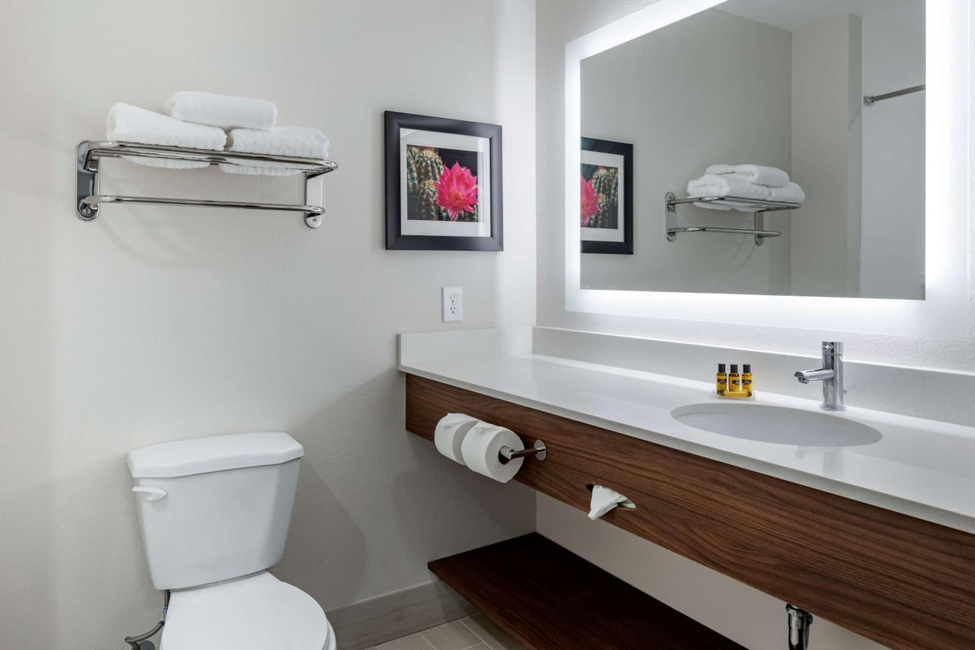Best Western Plus Coachella Valley Inn & Suites gallery photo in Cathedral City, CA — image 29
