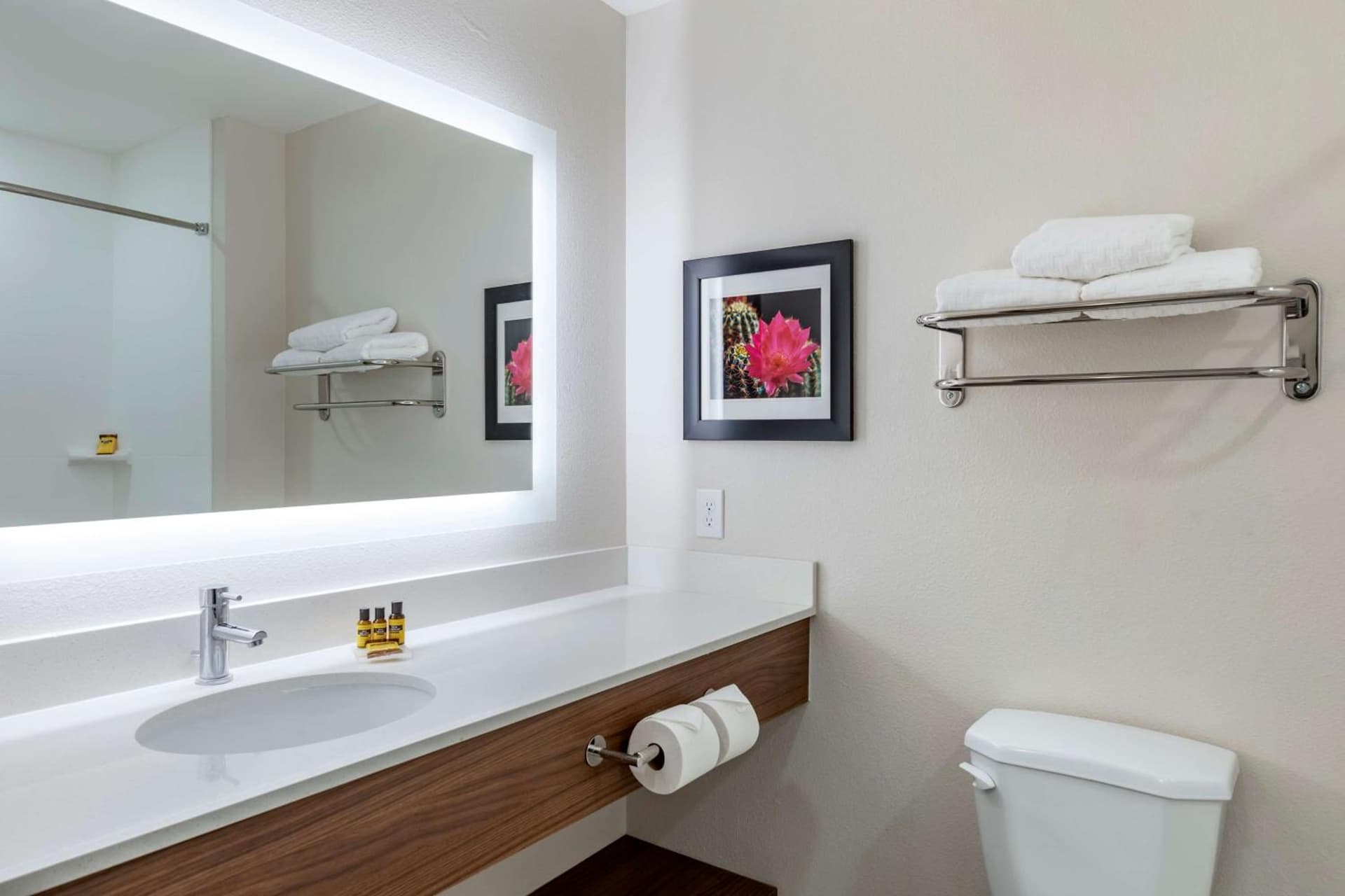 Best Western Plus Coachella Valley Inn & Suites gallery photo in Cathedral City, CA — image 12