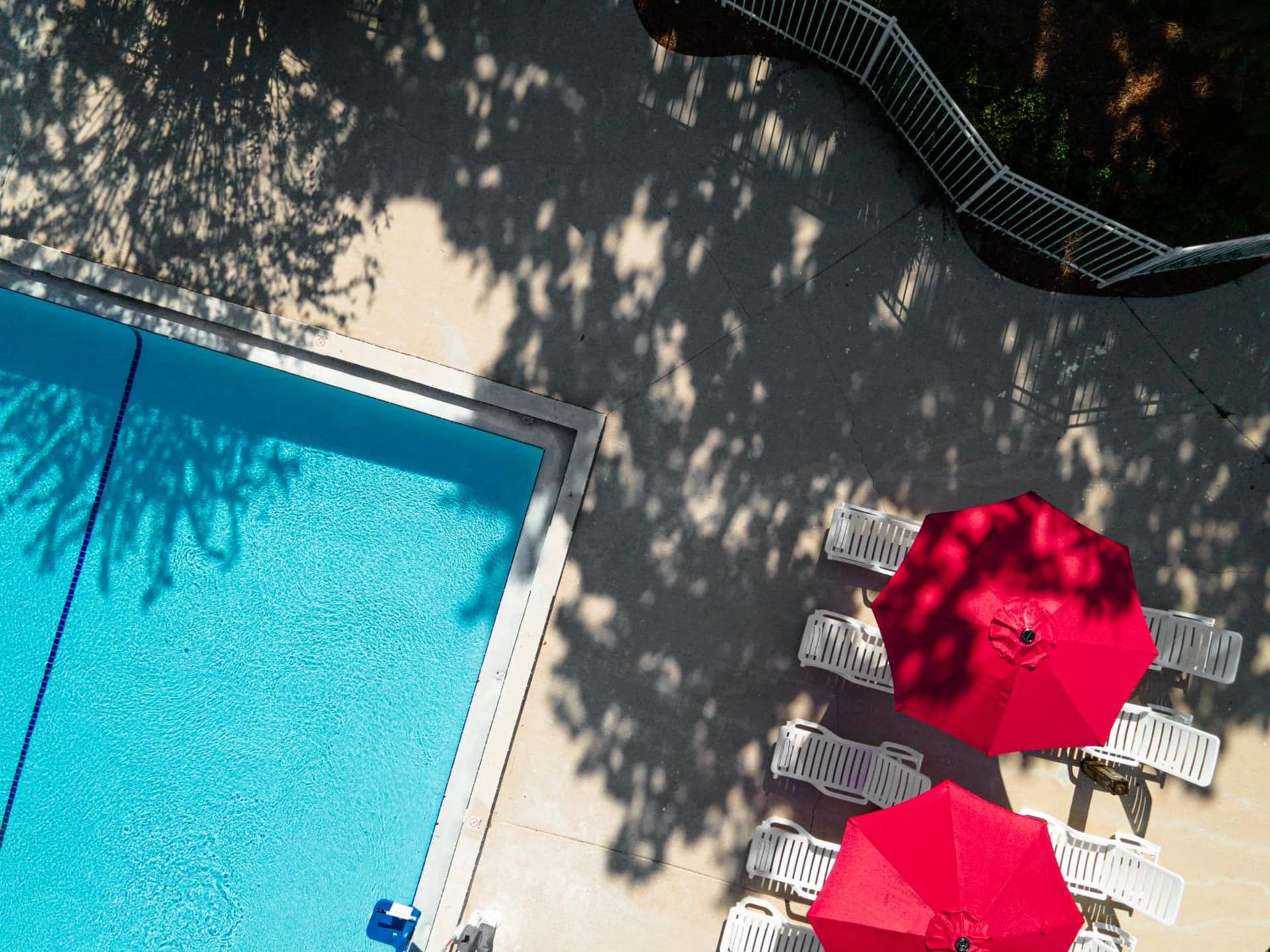 Baymont by Wyndham Orlando Lake Buena Vista South gallery photo in Kissimmee, FL — image 7