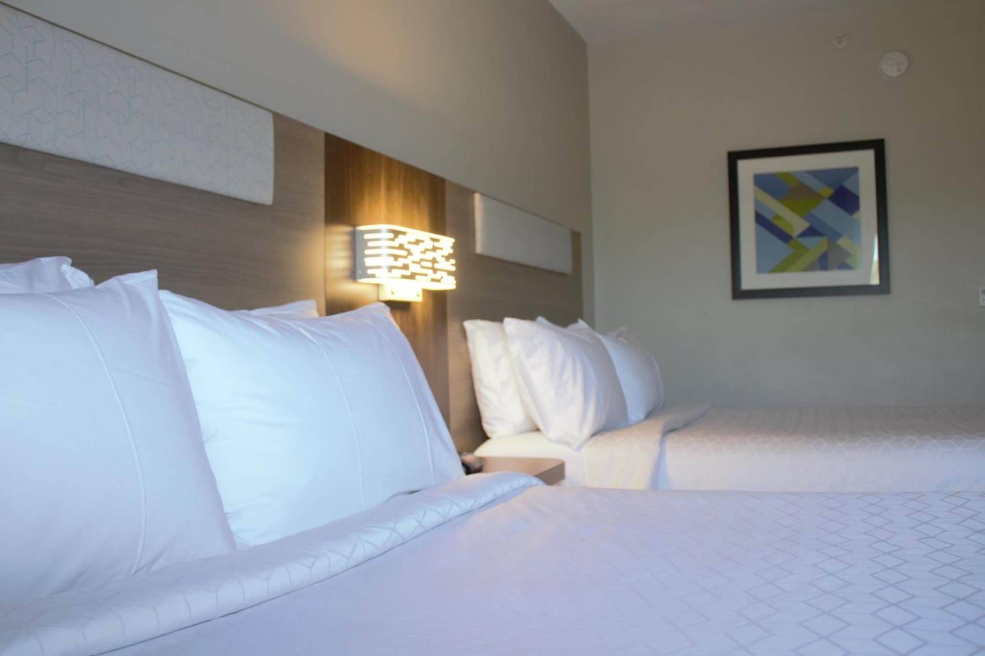 Holiday Inn Express Hotel & Suites Hope Mills-Fayetteville Airport by IHG gallery photo in Hope Mills, NC — image 34