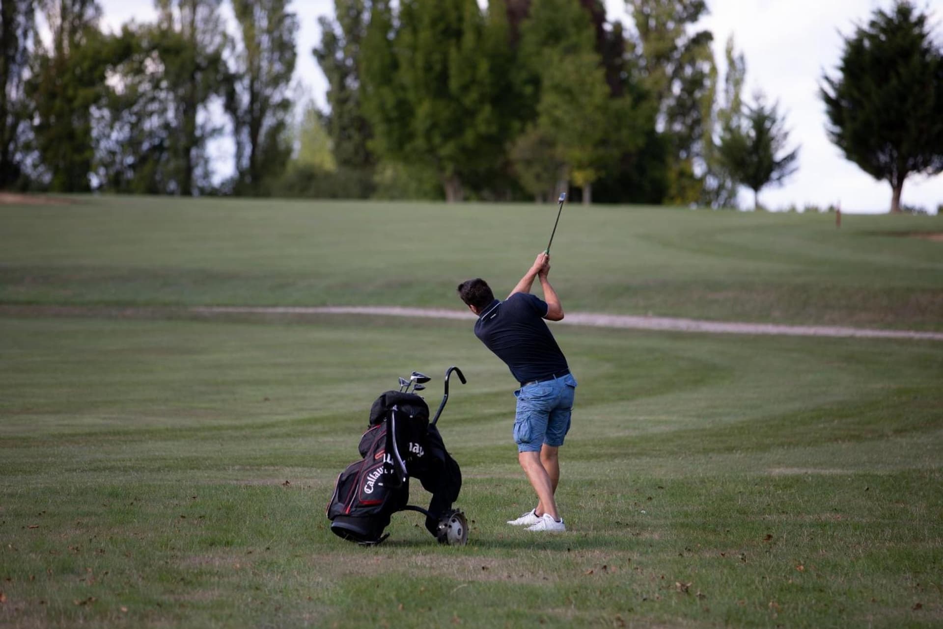Holiday Inn Portland West - Hillsboro by IHG gallery photo in Hillsboro, OR — image 21