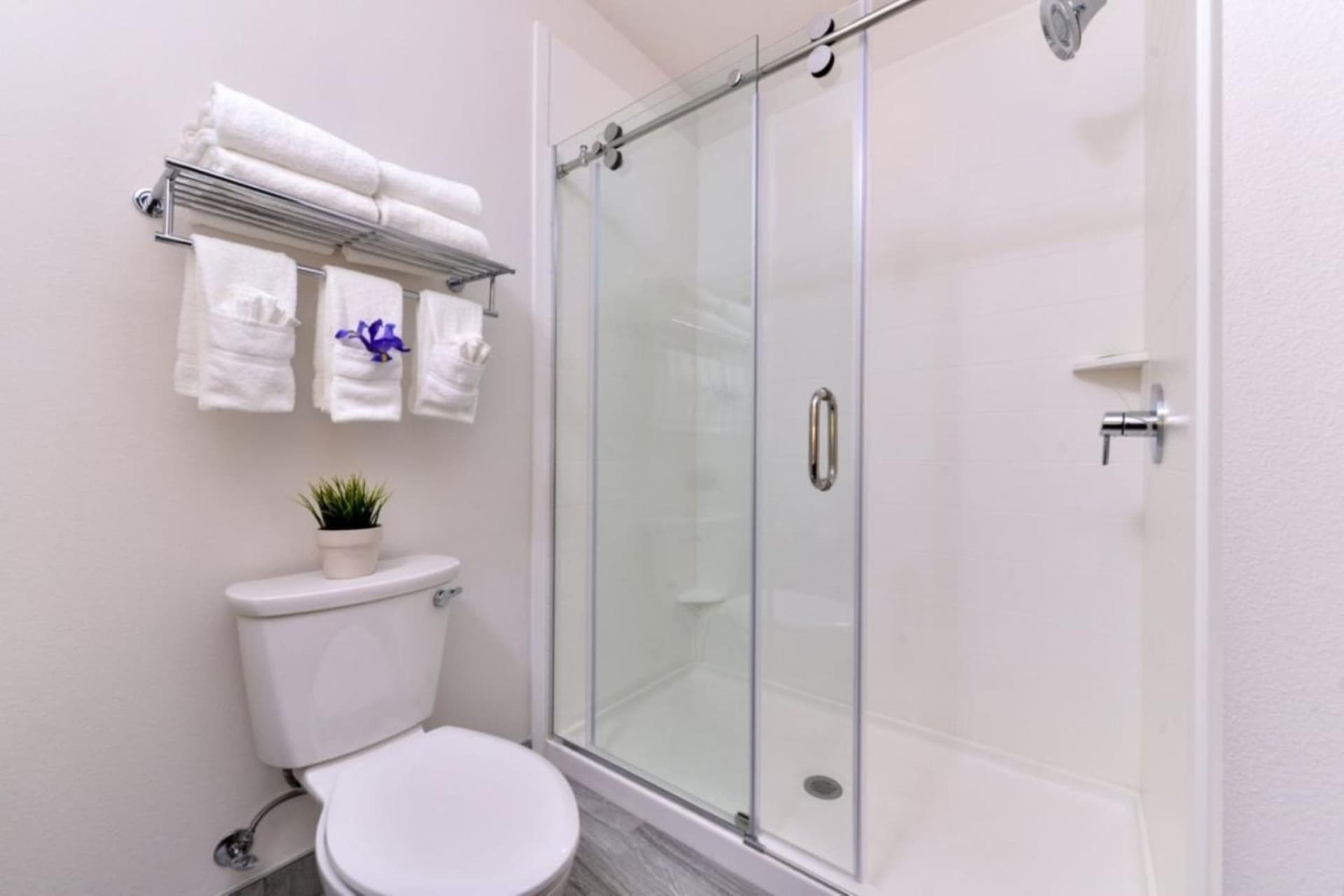 Holiday Inn Express & Suites San Diego - Mission Valley by IHG property views in San Diego, CA — gallery photo 3