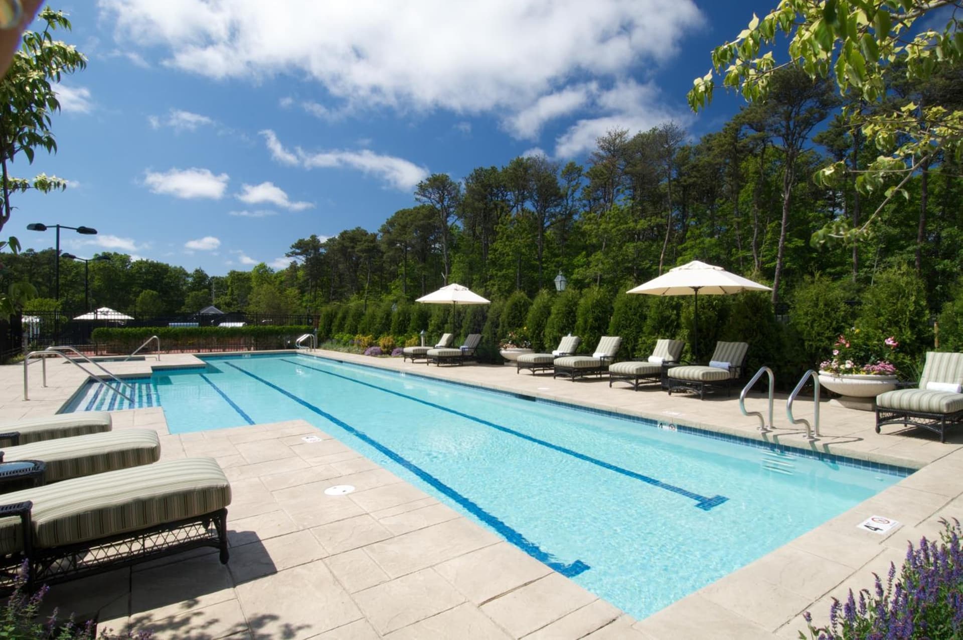 Wequassett Resort and Golf Club gallery photo in East Harwich, MA — image 26