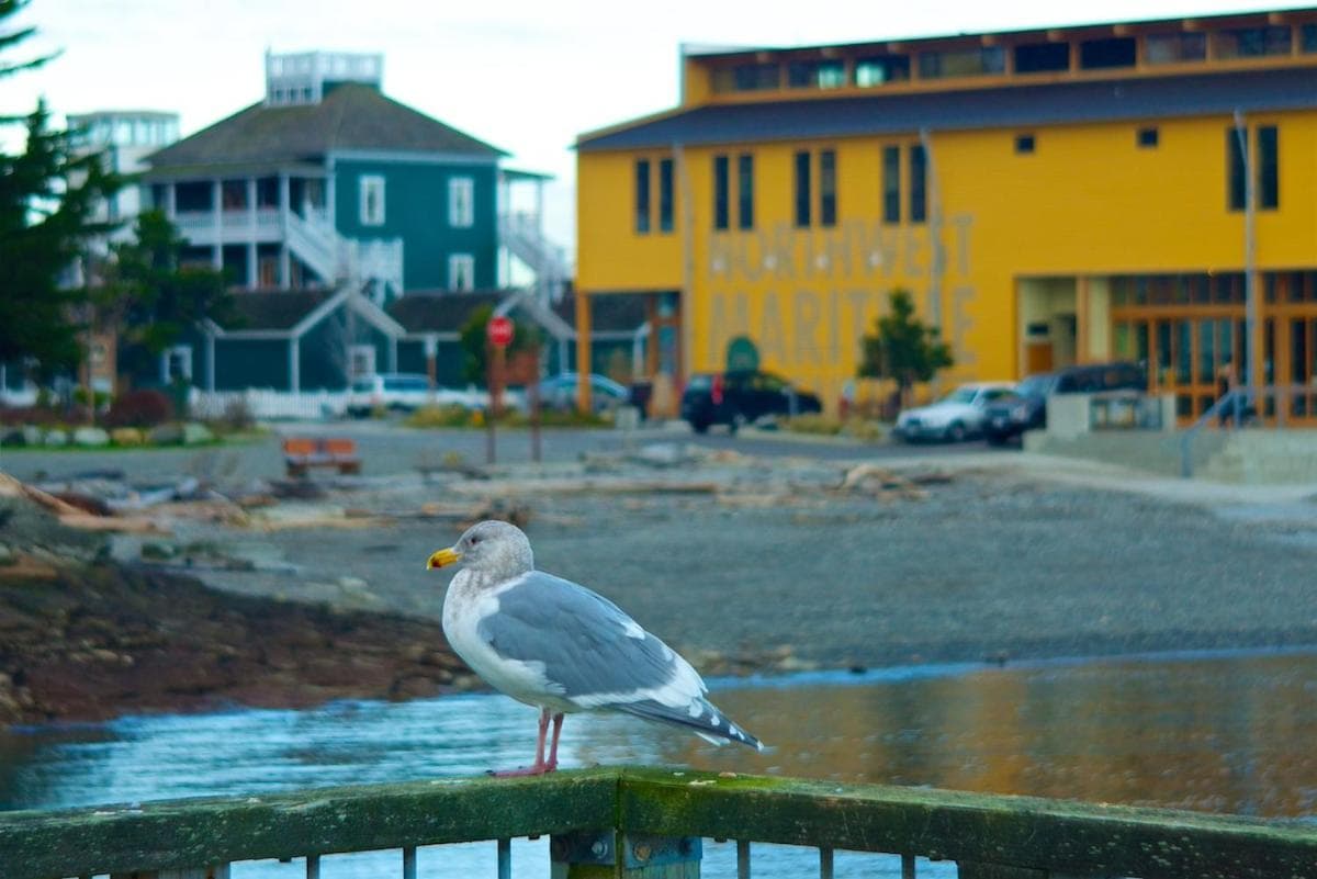 The Swan Hotel gallery photo in Port Townsend, WA — image 45